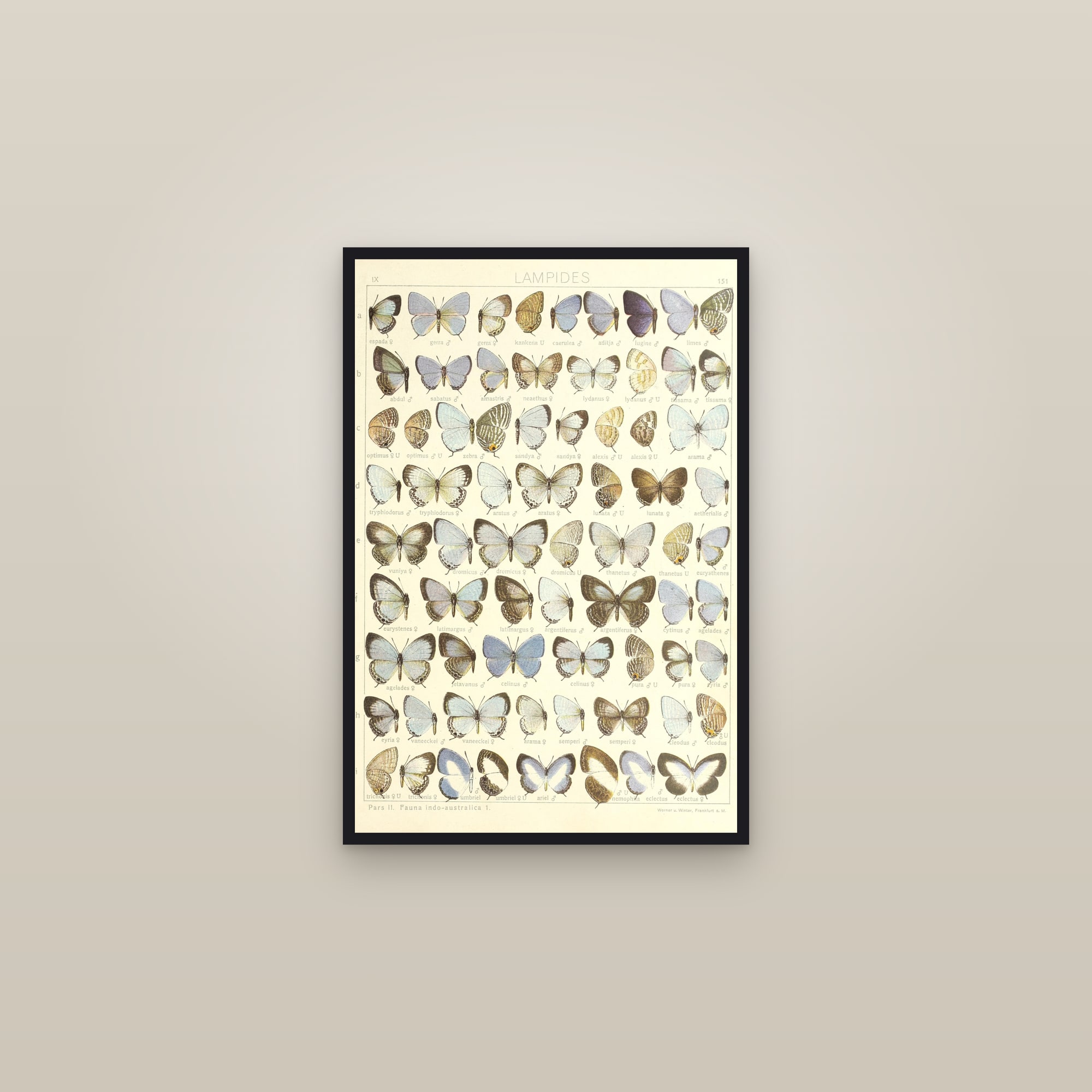 Cerulean Blues — framed in a gallery setting