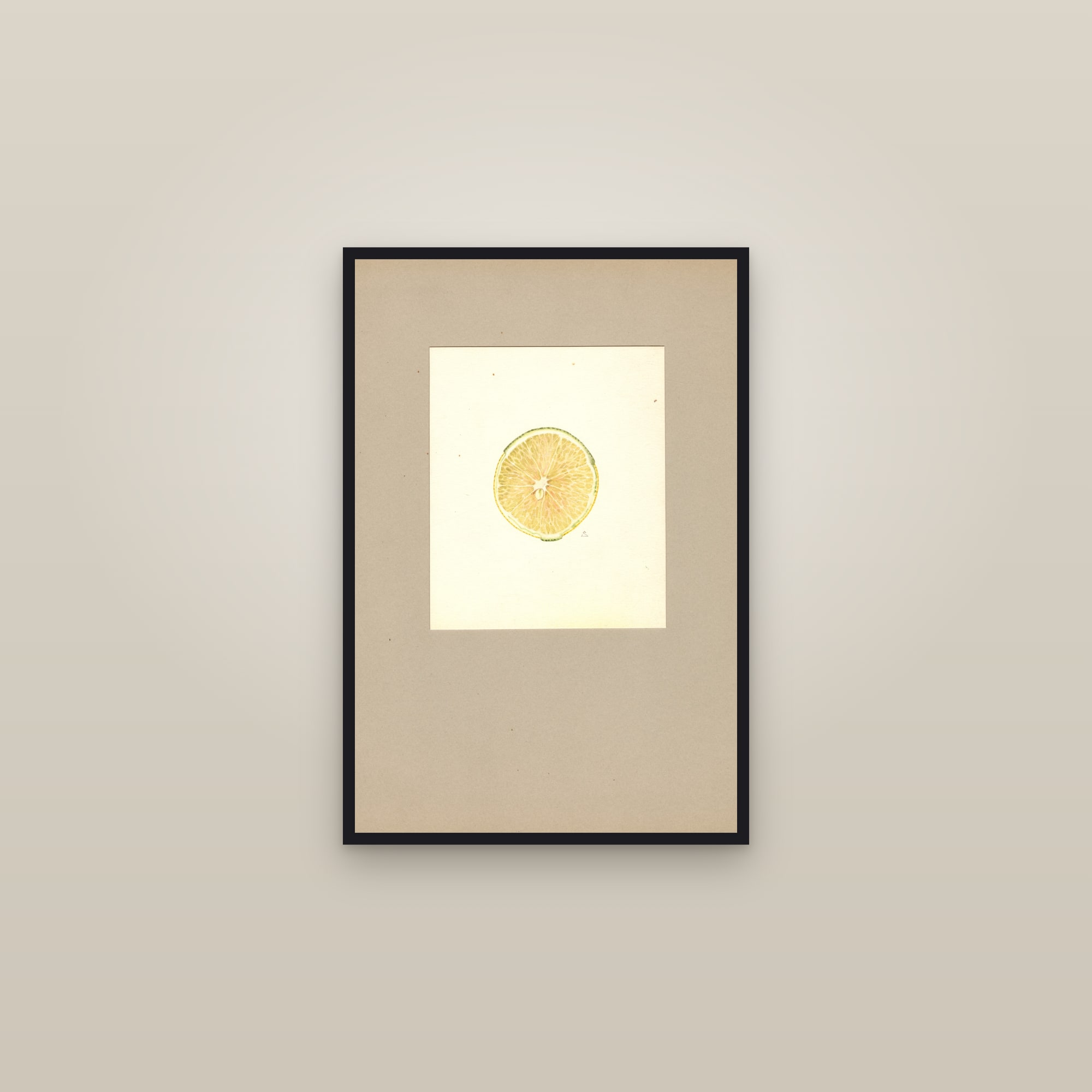 Chimera Citrus — framed in a gallery setting
