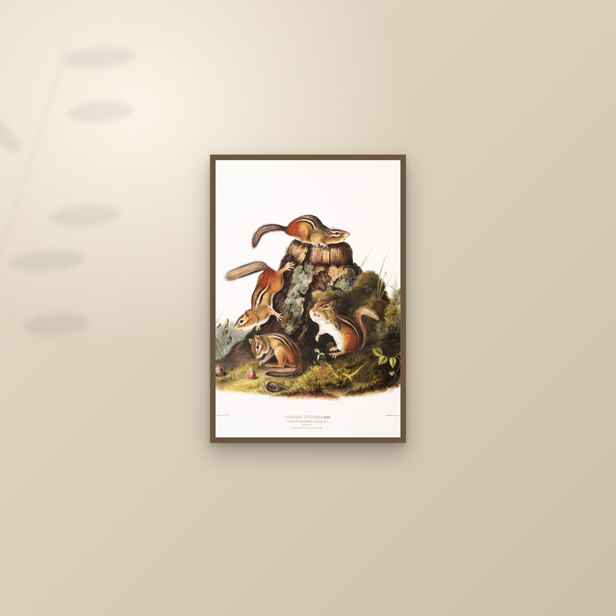 Chipping Squirrel — framed and styled on a sunlit wall