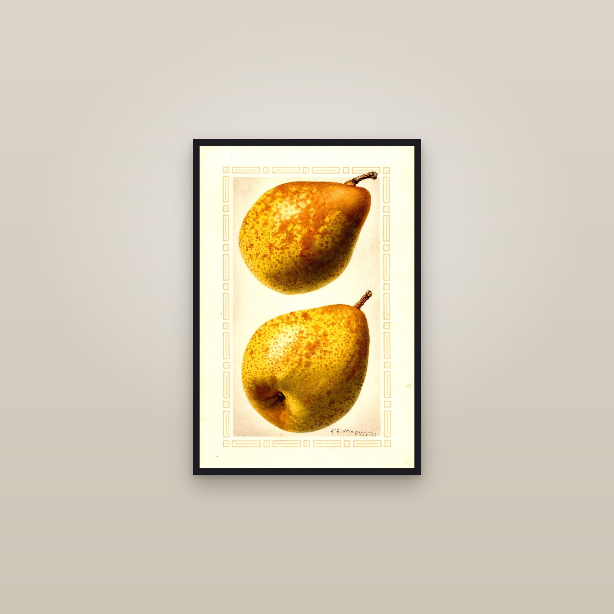 Cincincis Pear — framed in a gallery setting