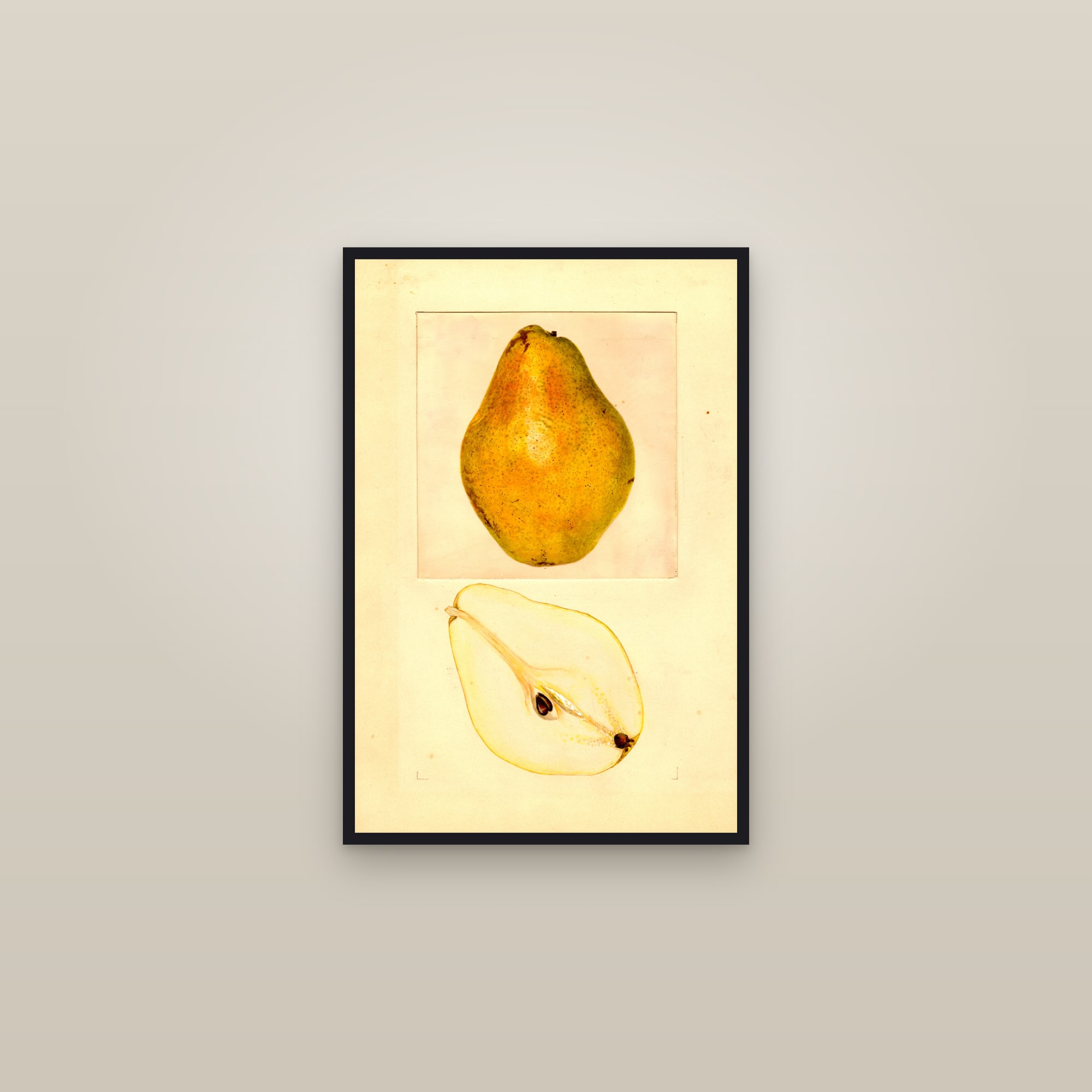 Cobert Pear — framed in a gallery setting