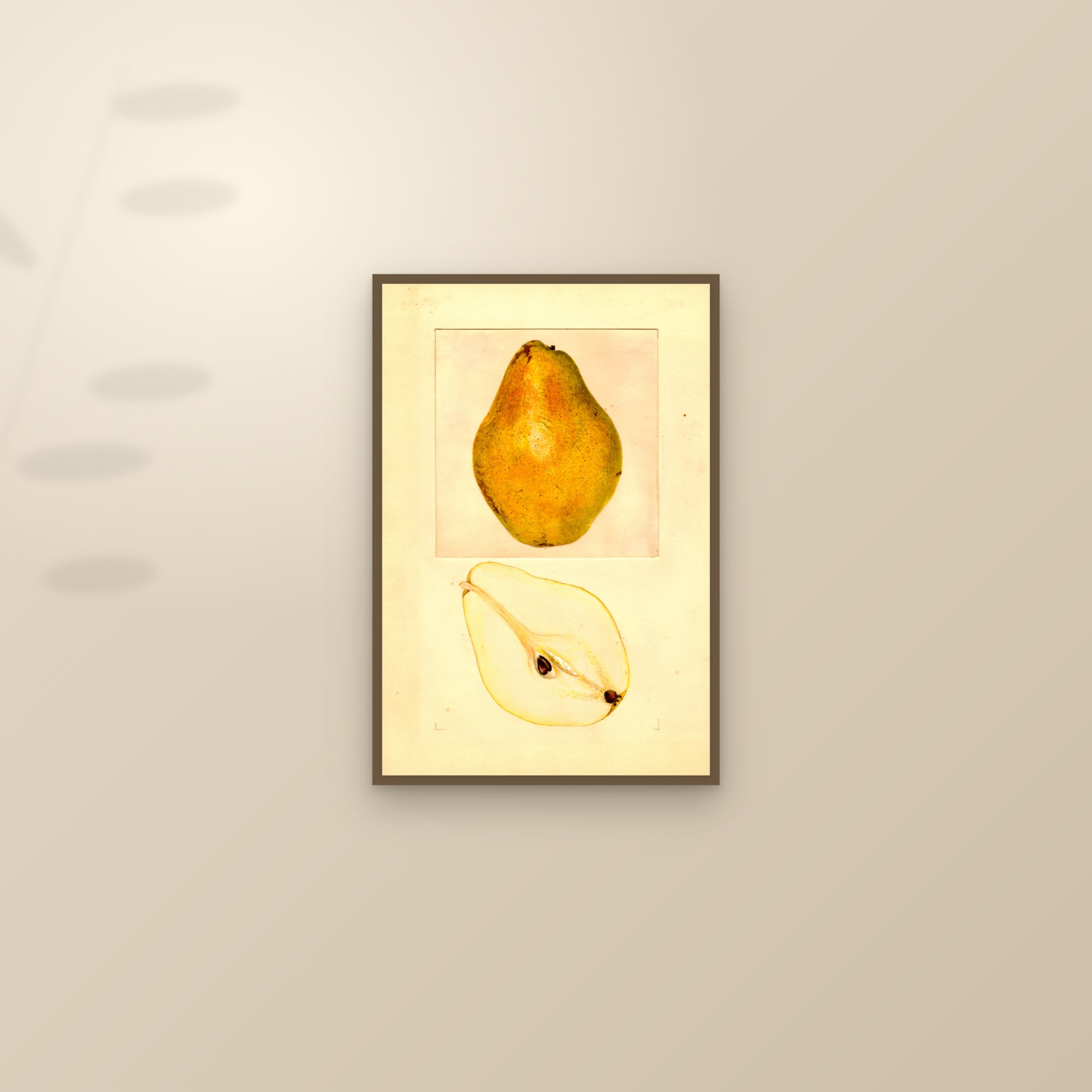 Cobert Pear — framed and styled on a sunlit wall