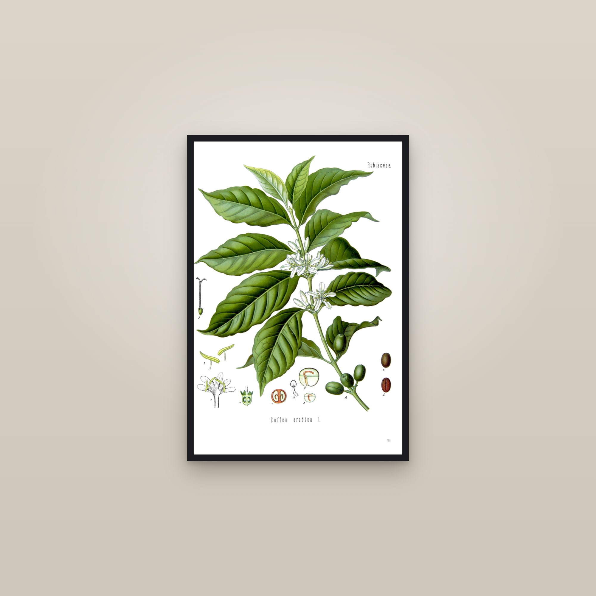 Coffee — framed in a gallery setting