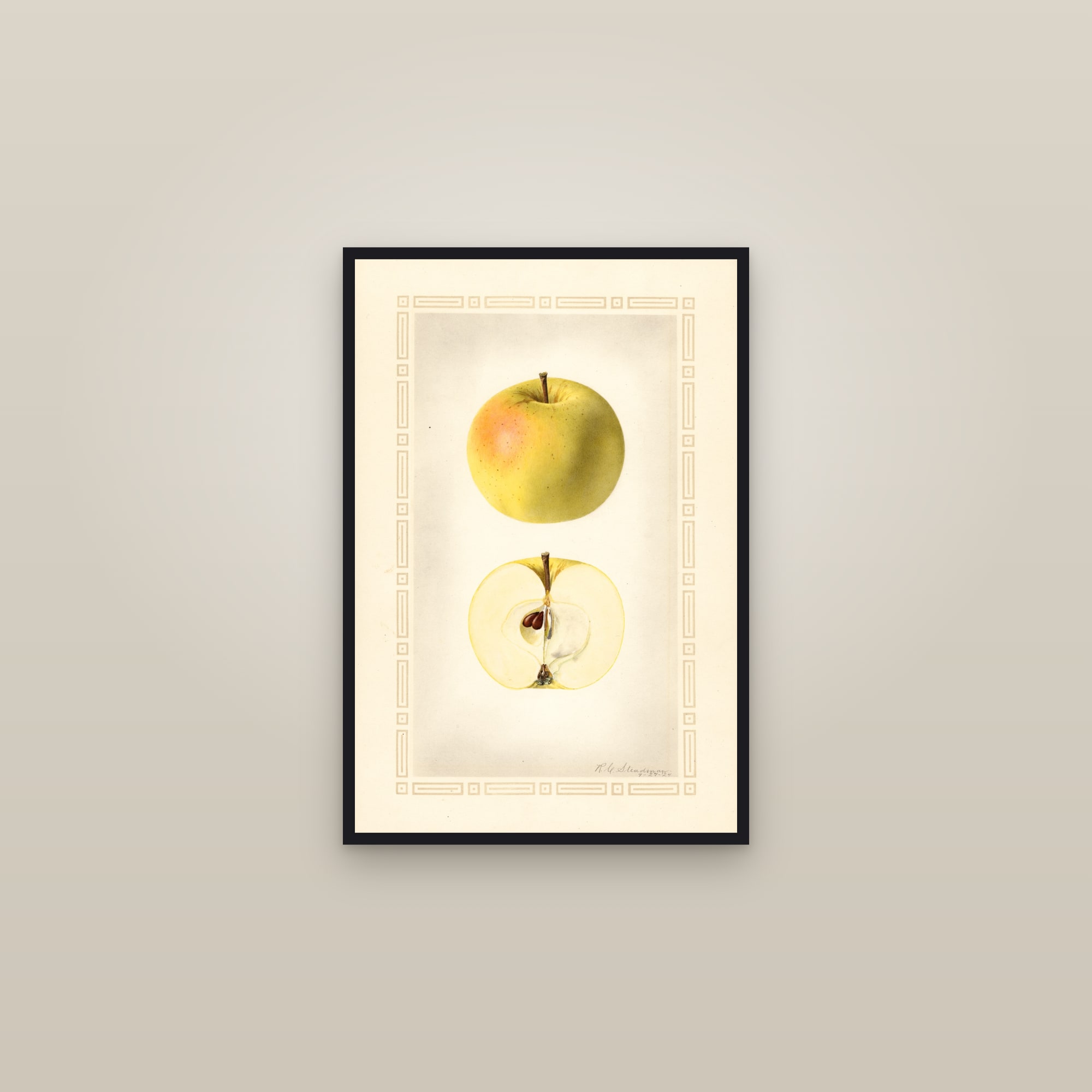 Cooper Early White Apple — framed in a gallery setting