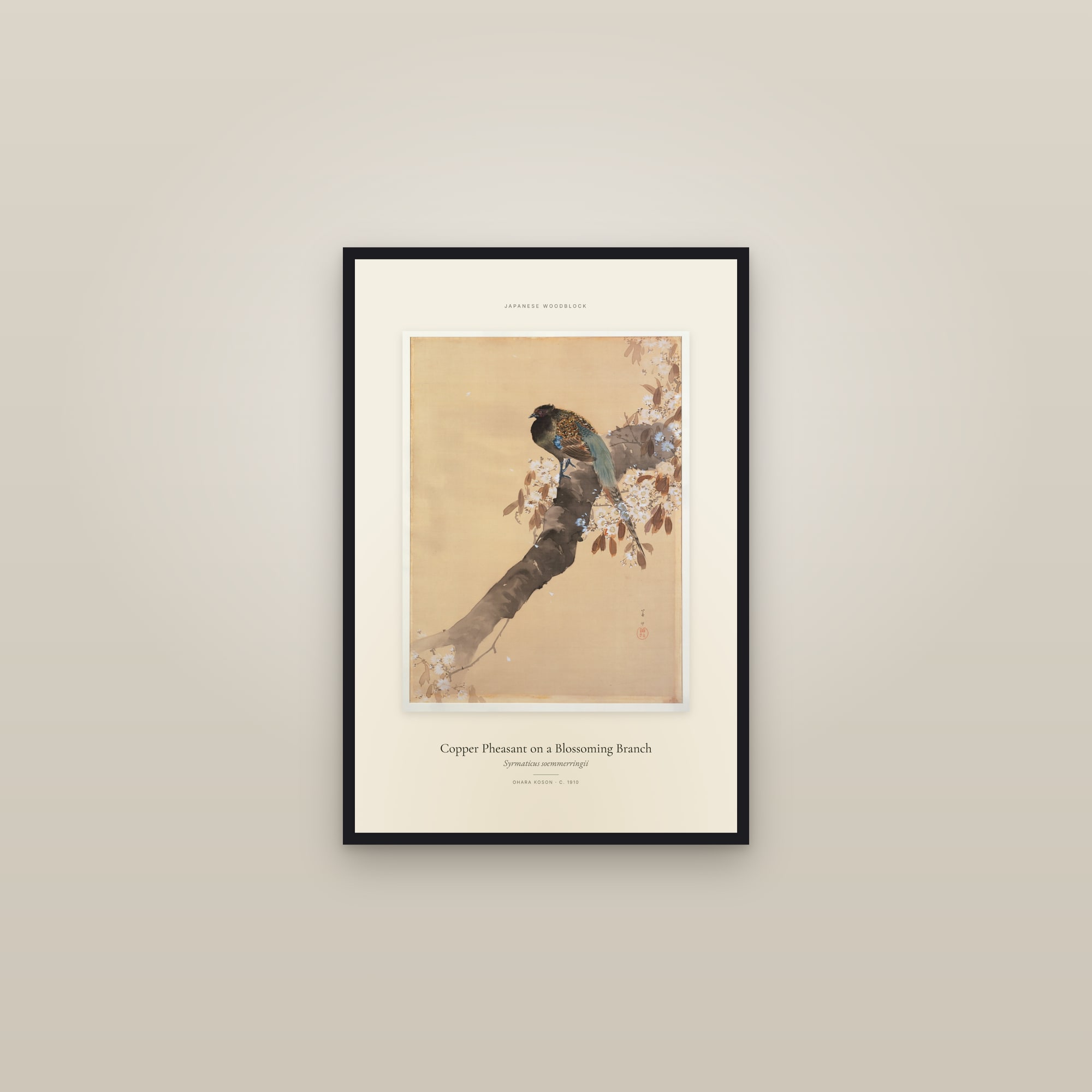 Copper Pheasant on a Blossoming Branch — Specimen