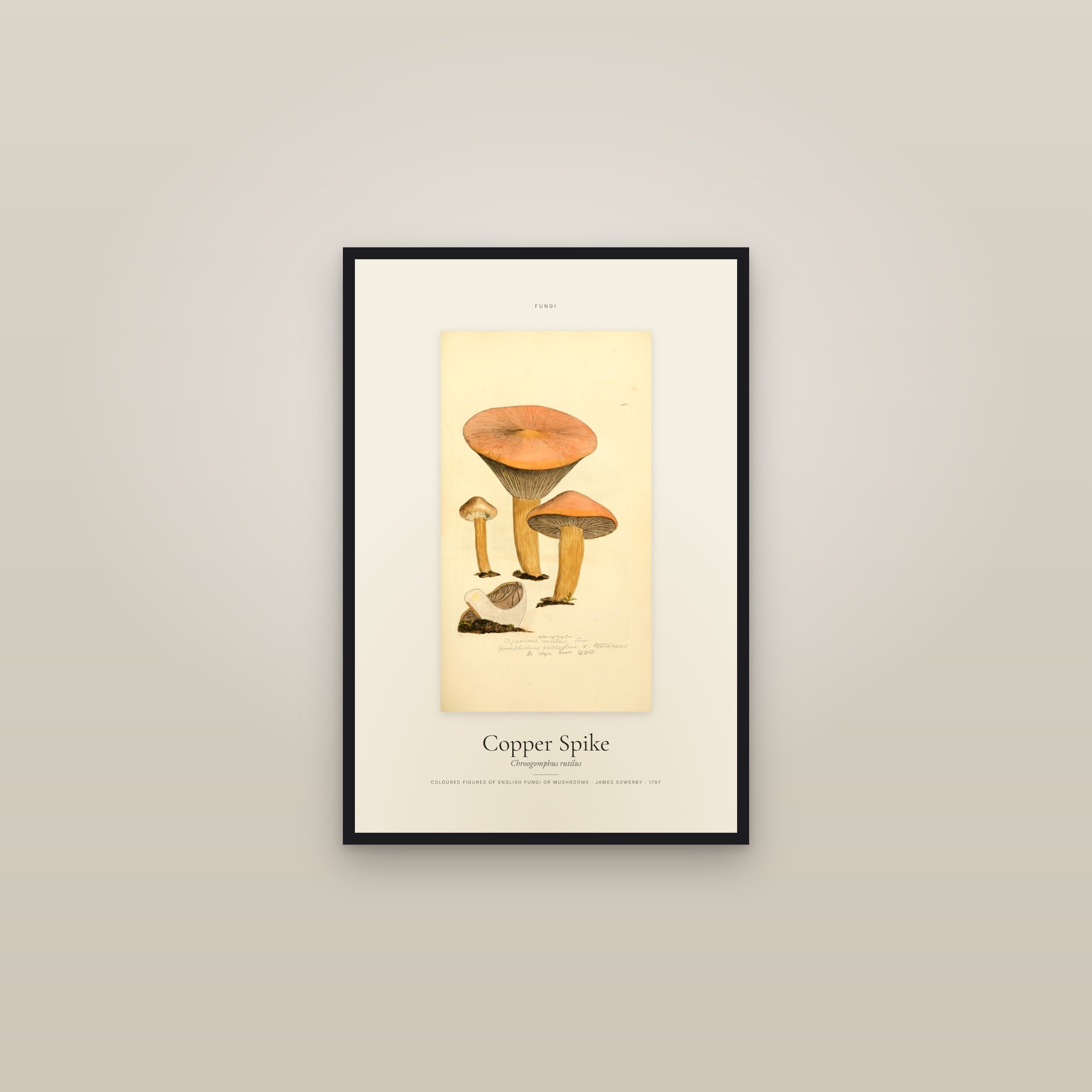 Copper Spike — Specimen — framed in a gallery setting