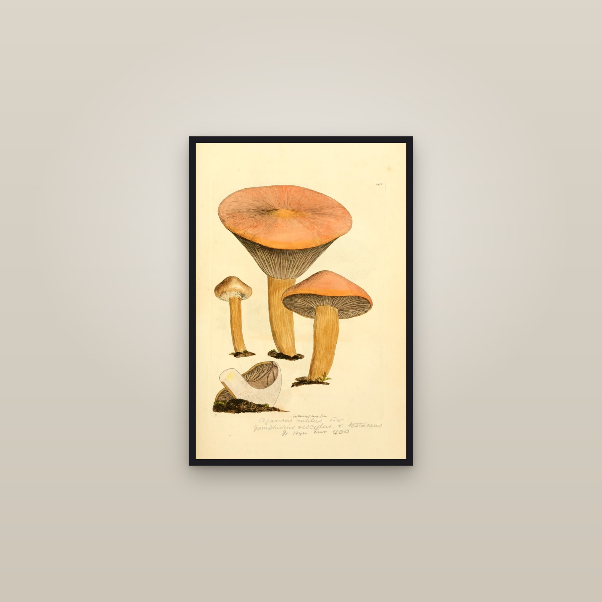 Copper Spike — framed in a gallery setting