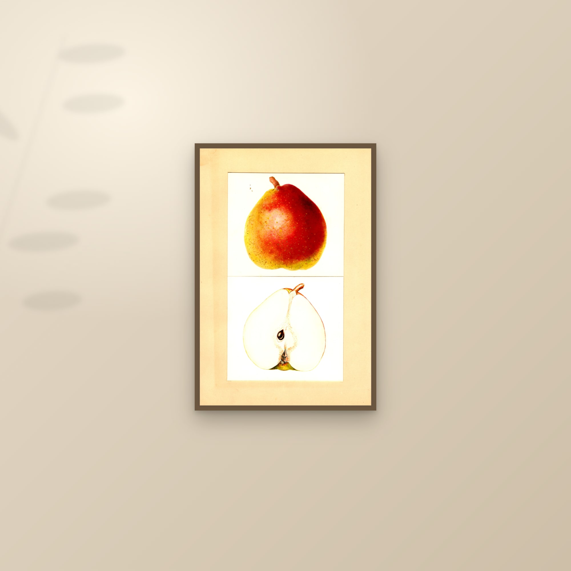 Cornice Pear — framed and styled on a sunlit wall