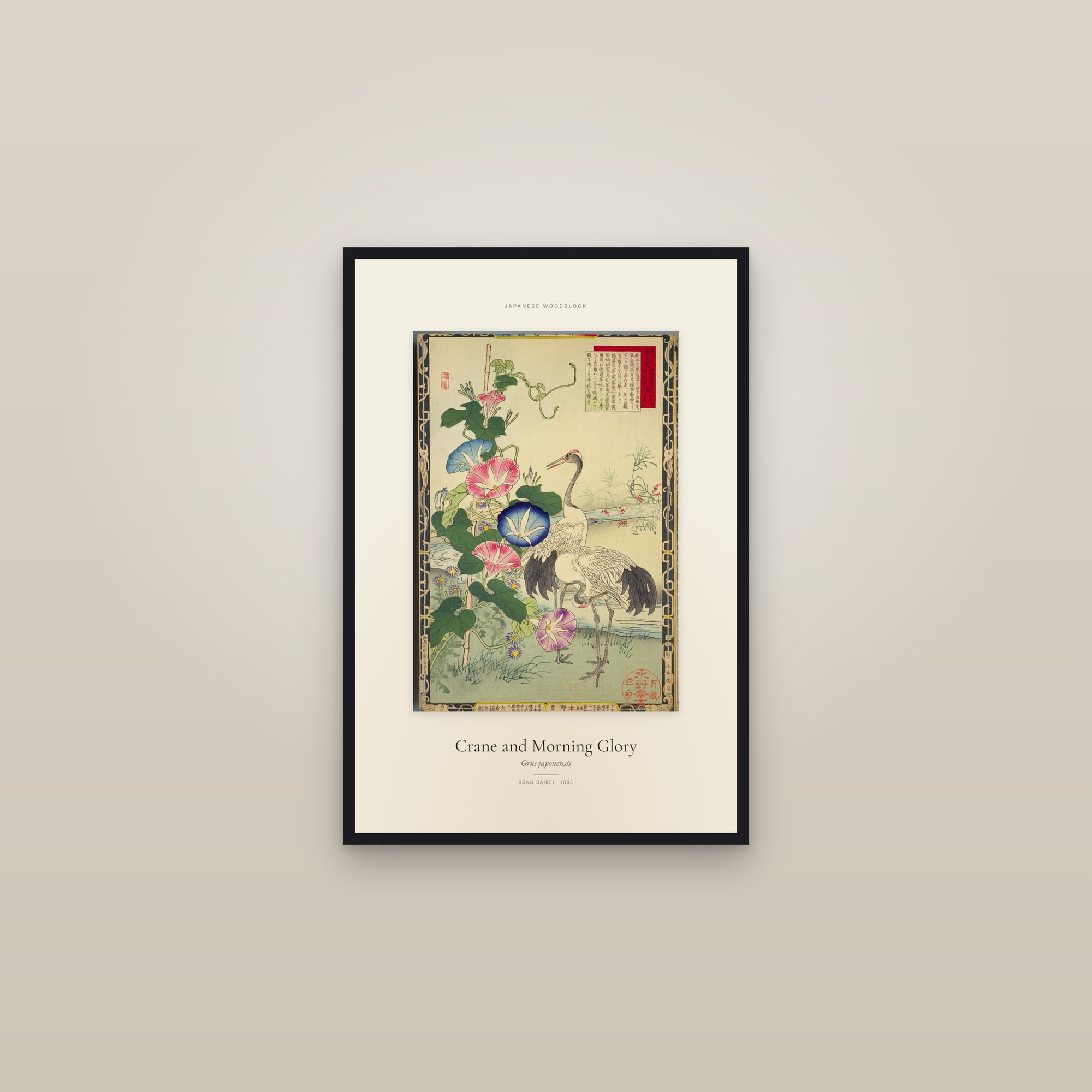 Crane and Morning Glory — Specimen