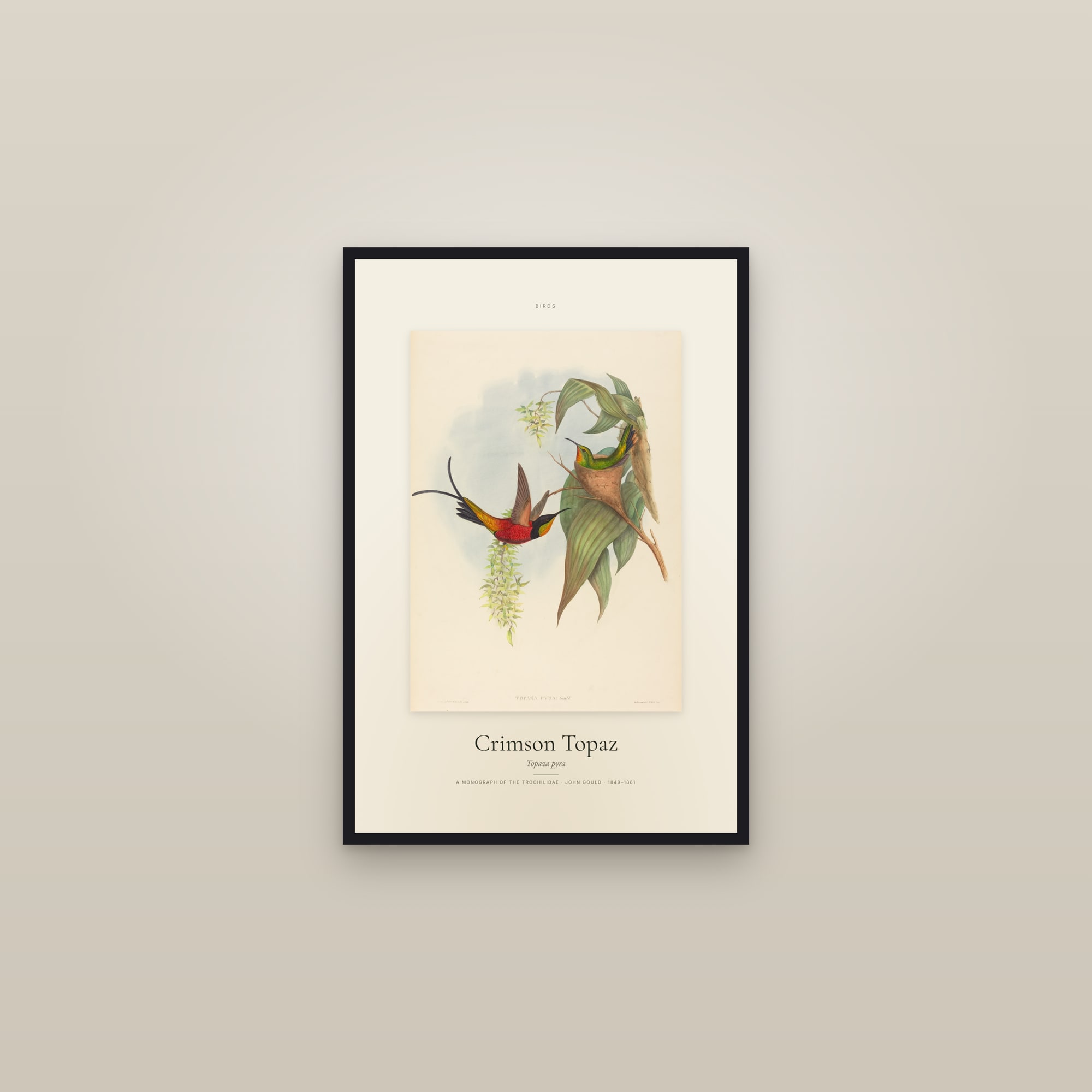 Crimson Topaz — Specimen — framed in a gallery setting