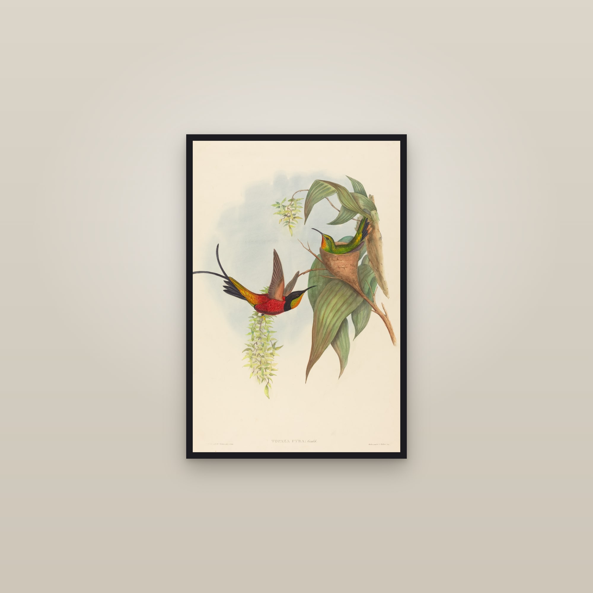 Crimson Topaz — framed in a gallery setting