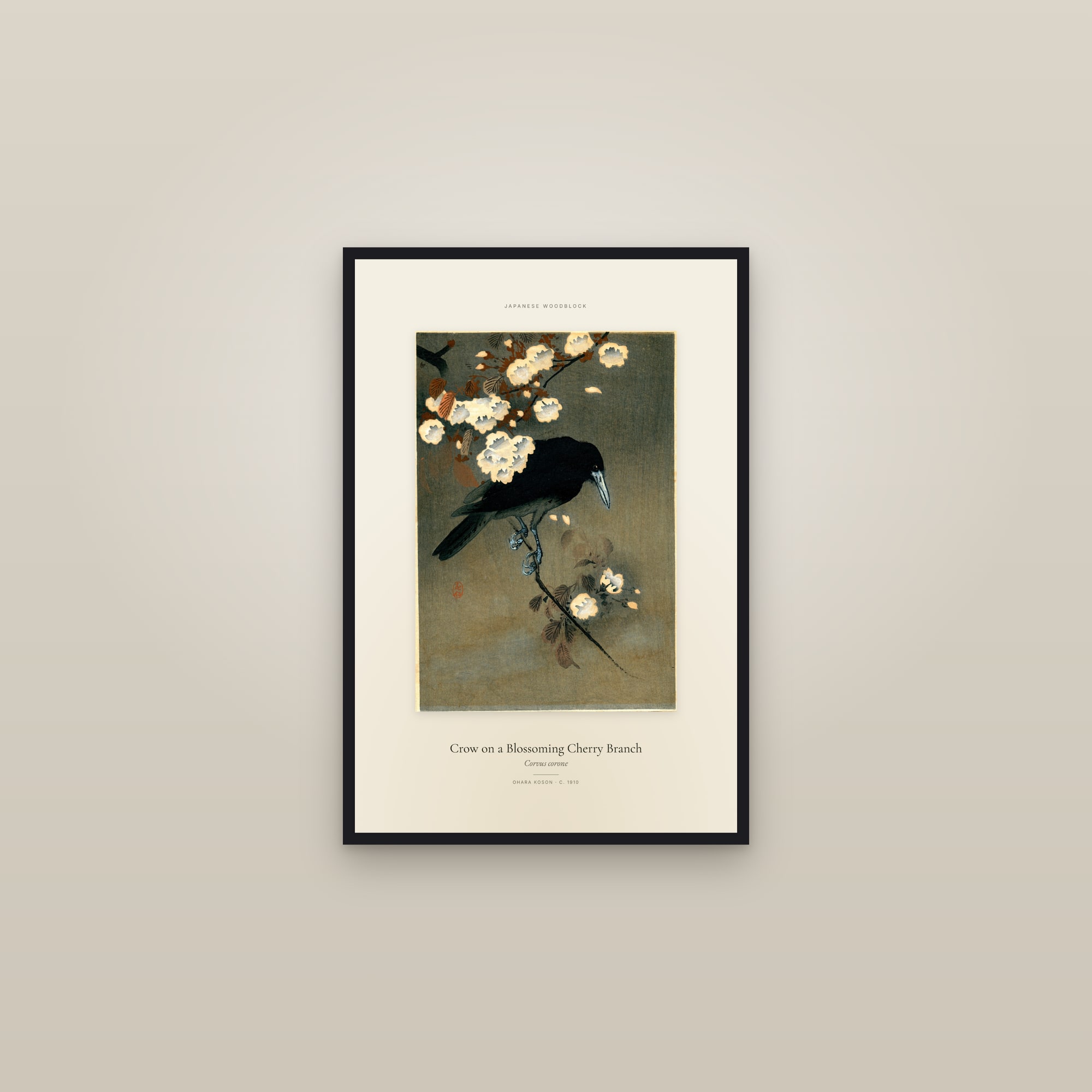 Crow on a Blossoming Cherry Branch — Specimen