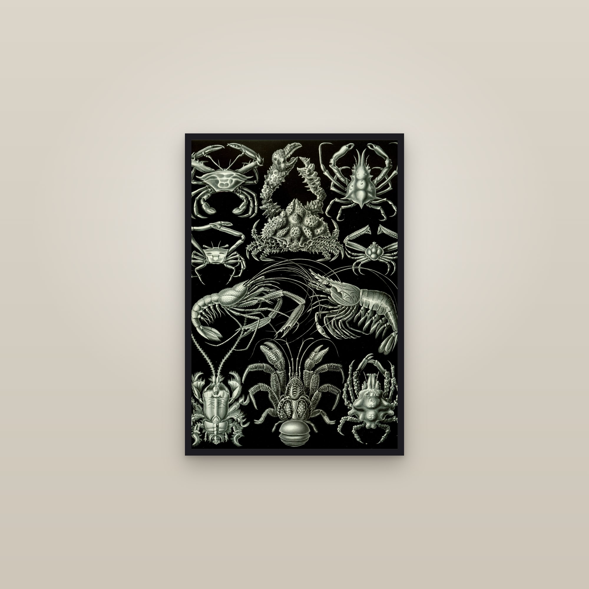 Crabs & Lobsters — framed in a gallery setting