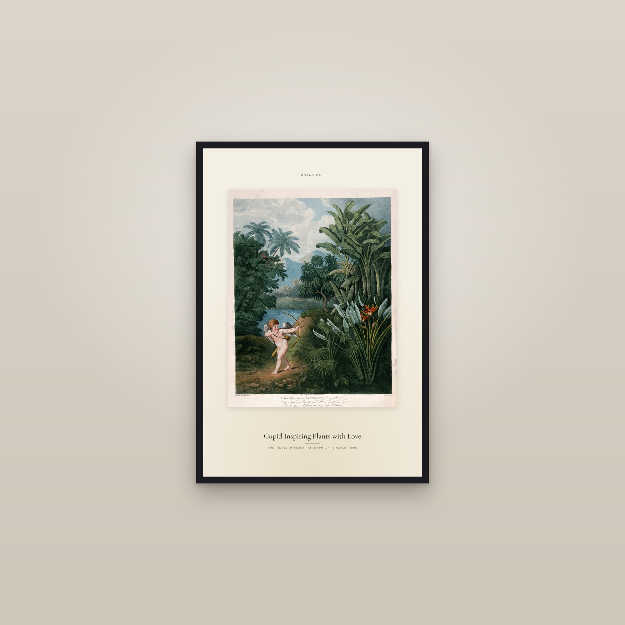 Cupid Inspiring Plants with Love — Specimen — framed in a gallery setting