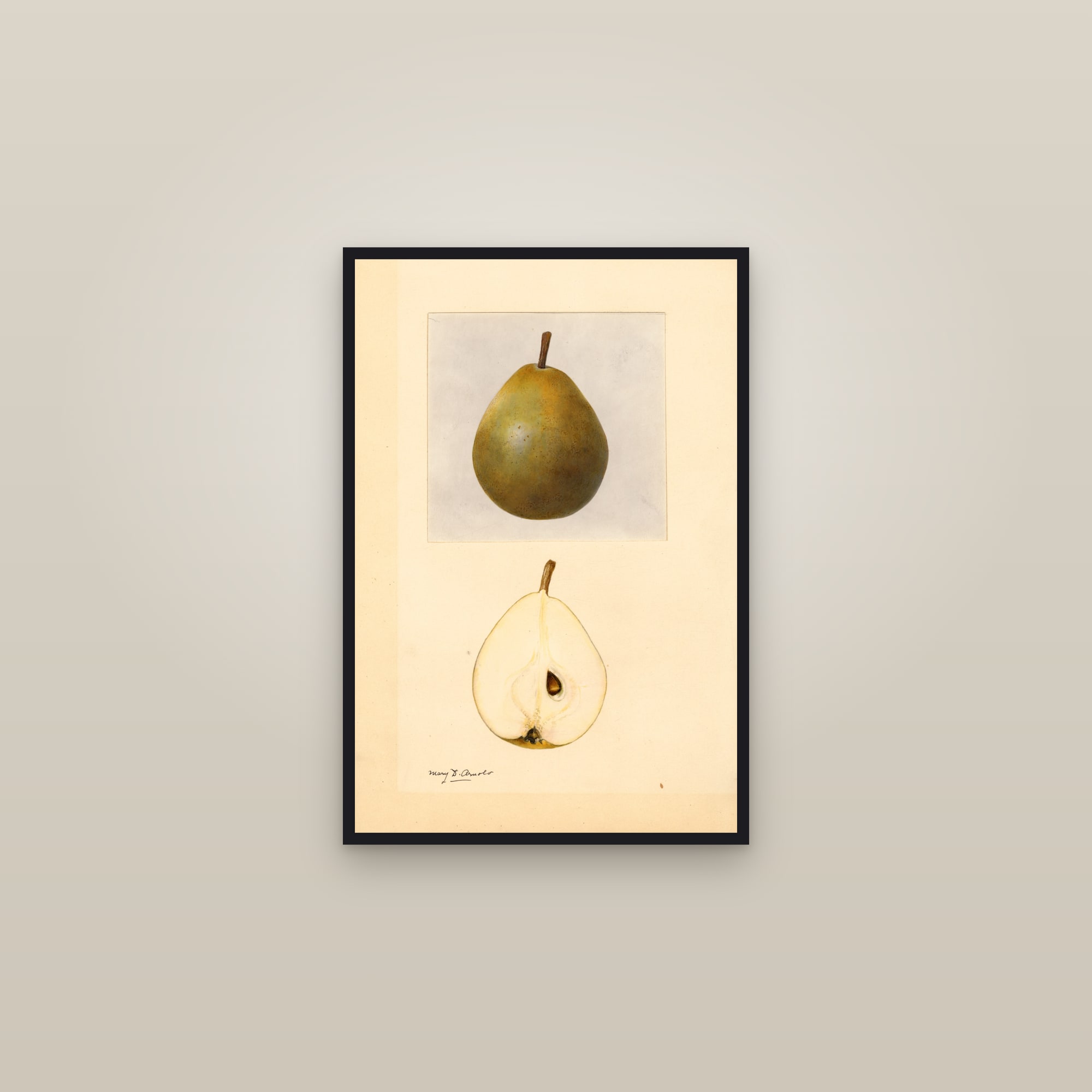 Dana Hovey Pear — framed in a gallery setting