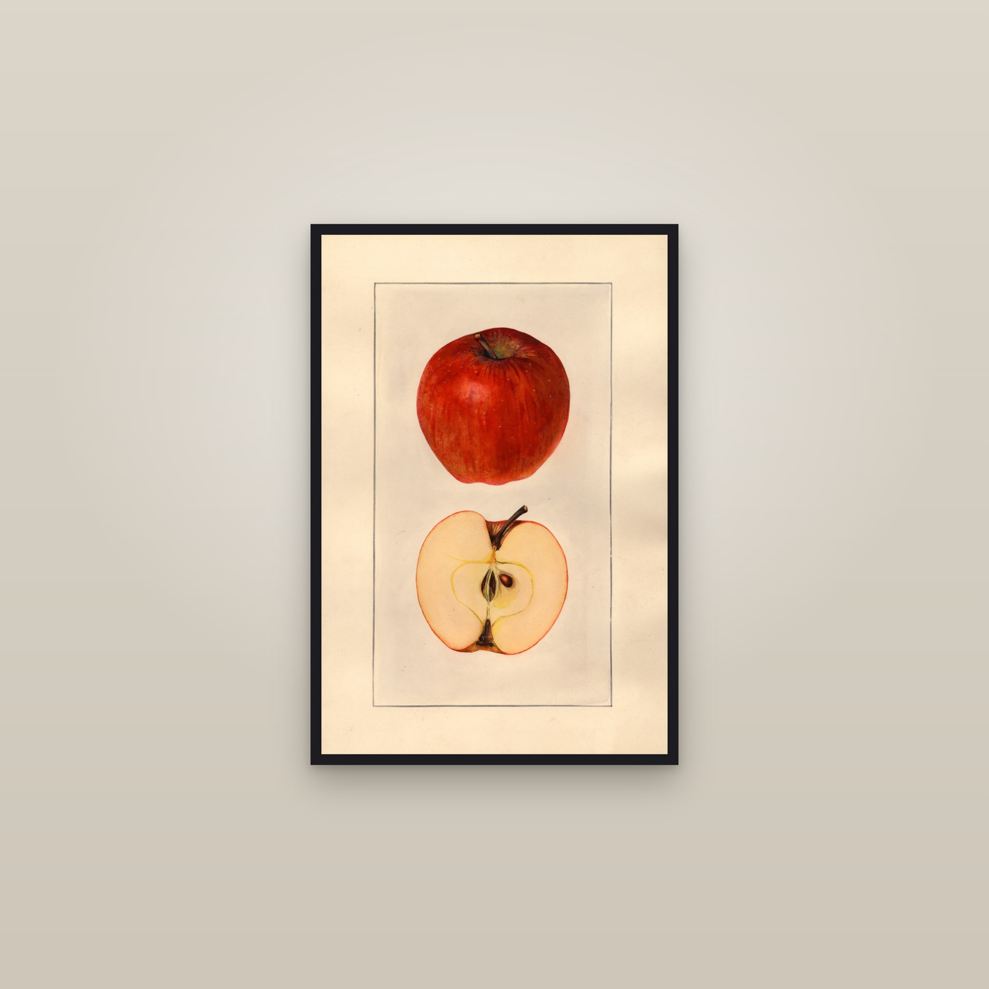 Delicious Apple — framed in a gallery setting
