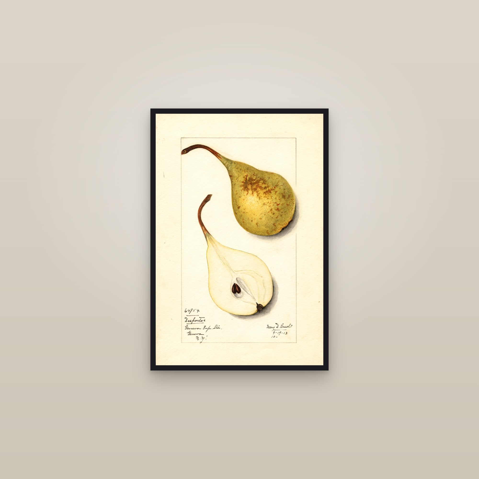 Desportes Pear — framed in a gallery setting