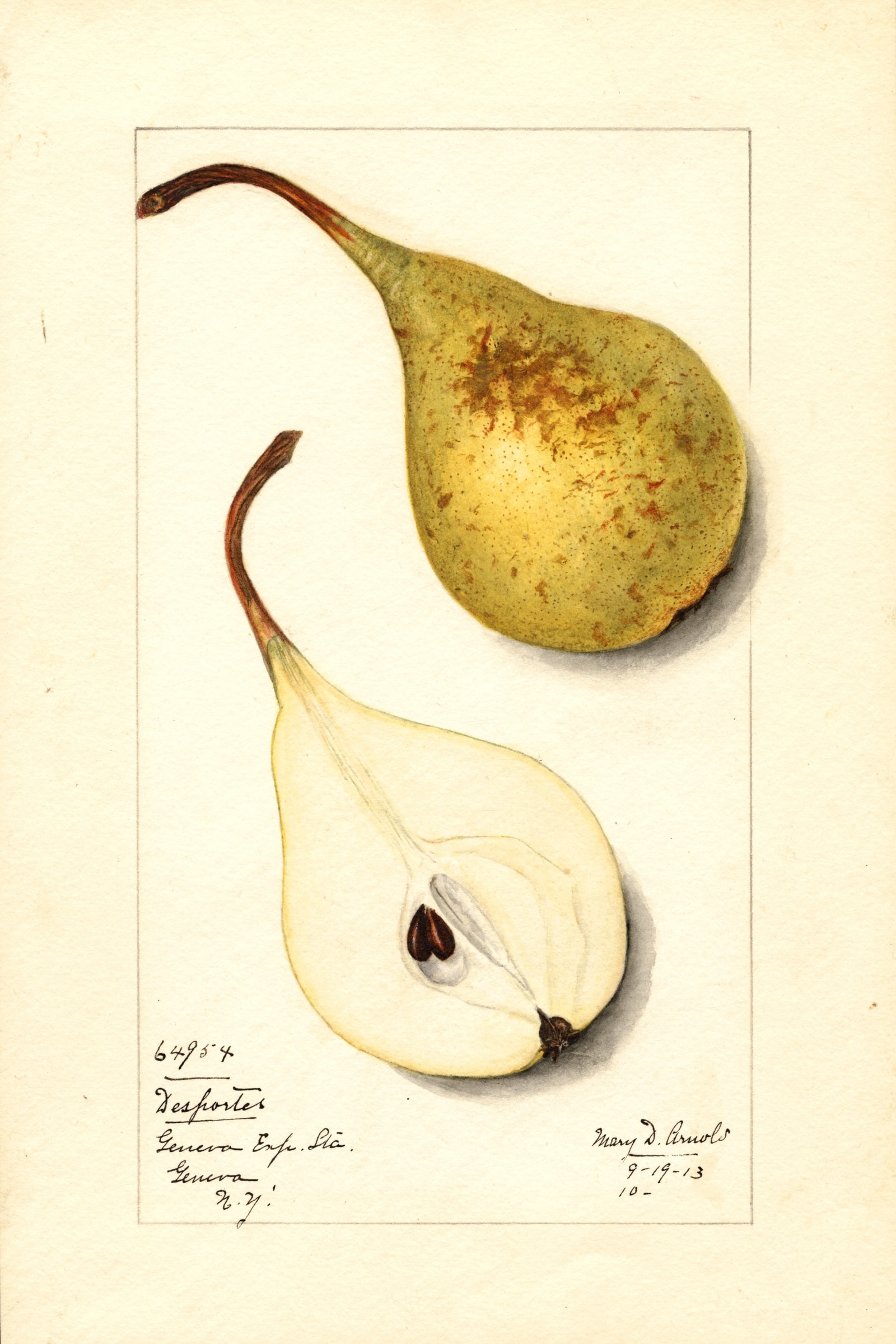 Desportes Pear