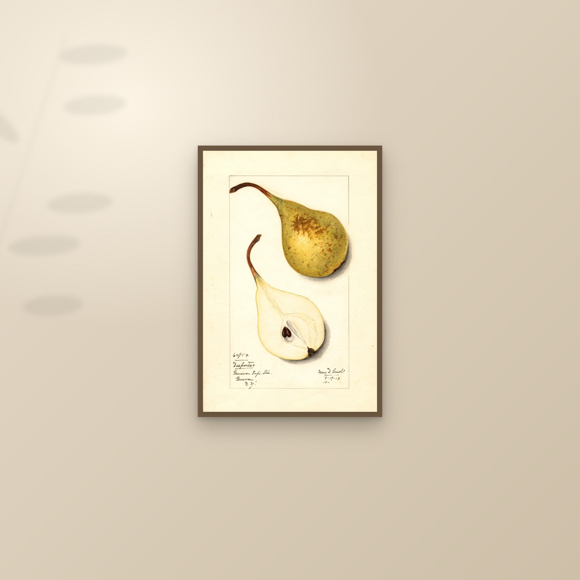 Desportes Pear — framed and styled on a sunlit wall