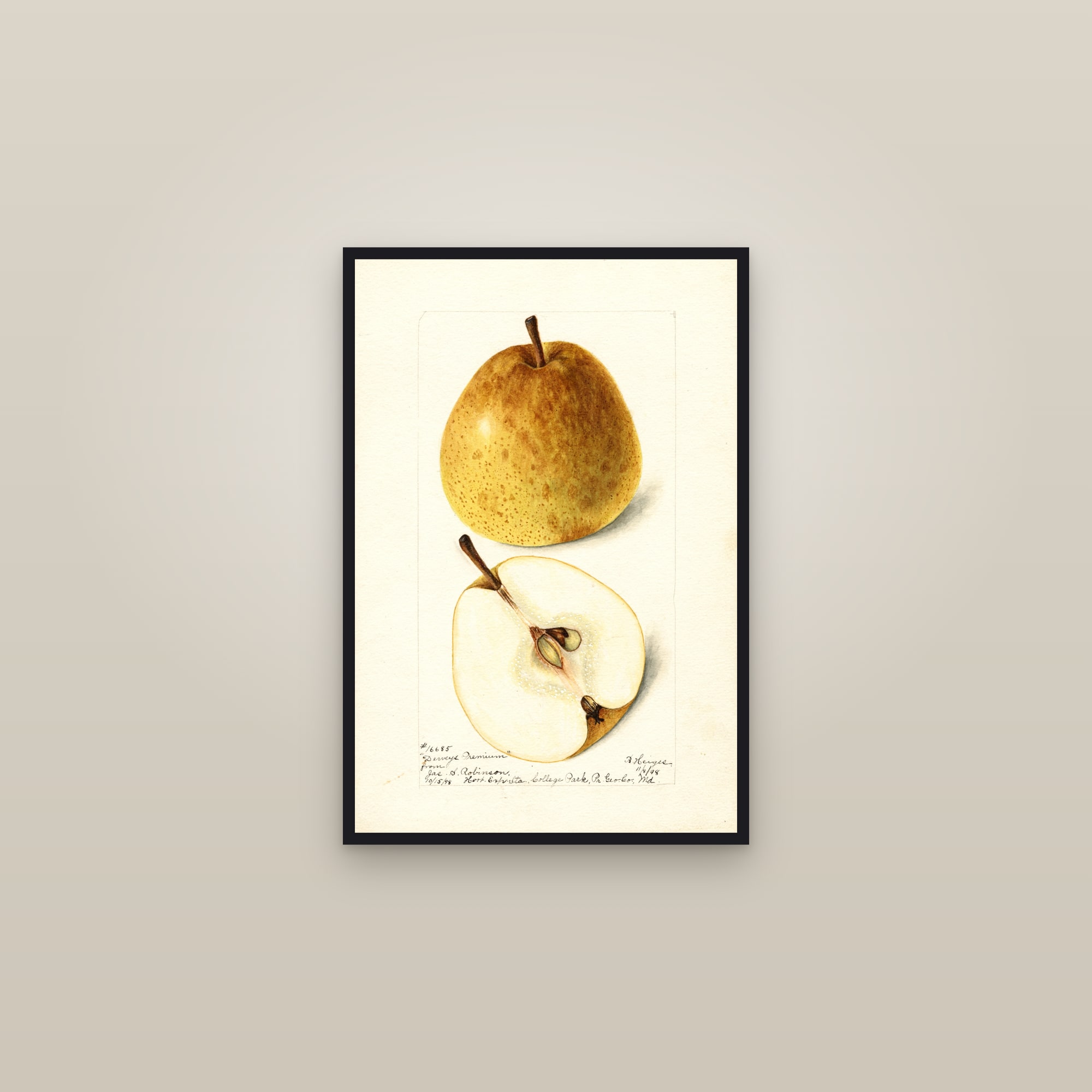 Deweys Premium Pear — framed in a gallery setting