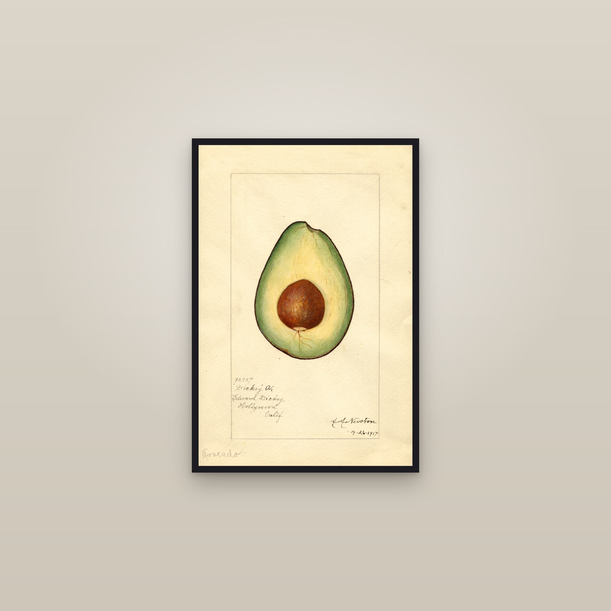 Dickey A Avocado — framed in a gallery setting