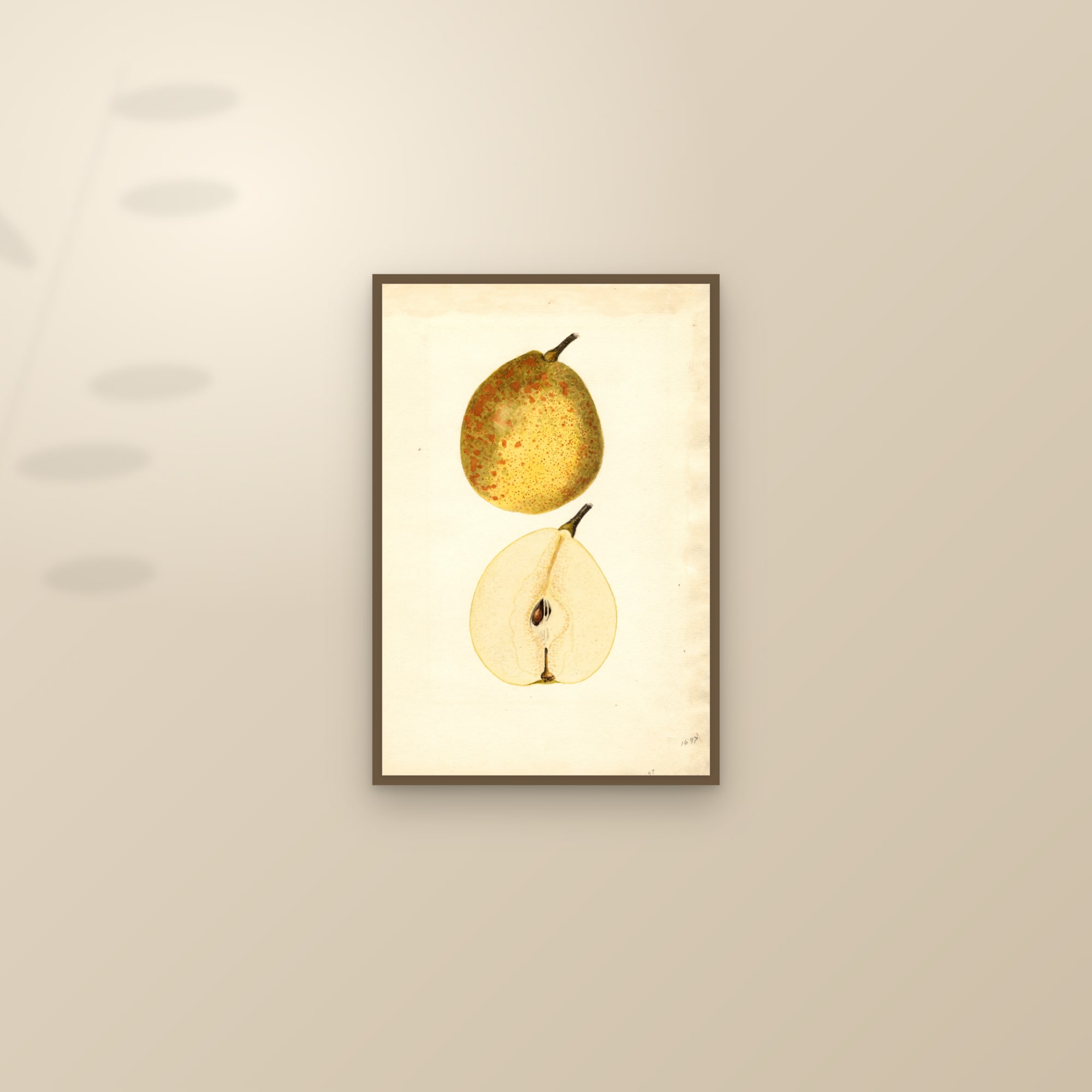 Dixie Pear — framed and styled on a sunlit wall