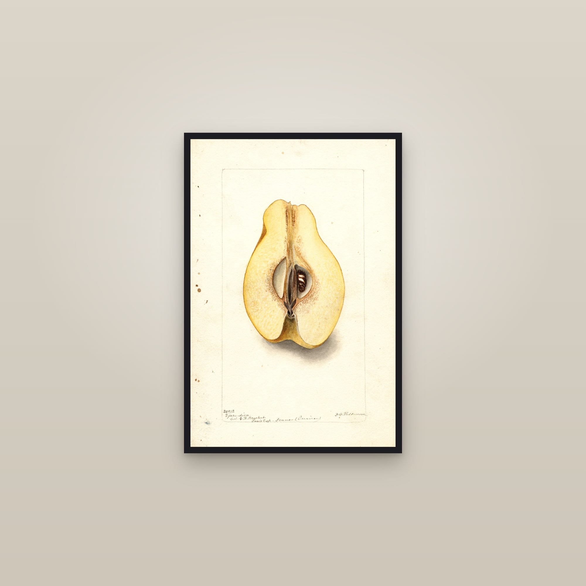 Djare Diva Quince — framed in a gallery setting
