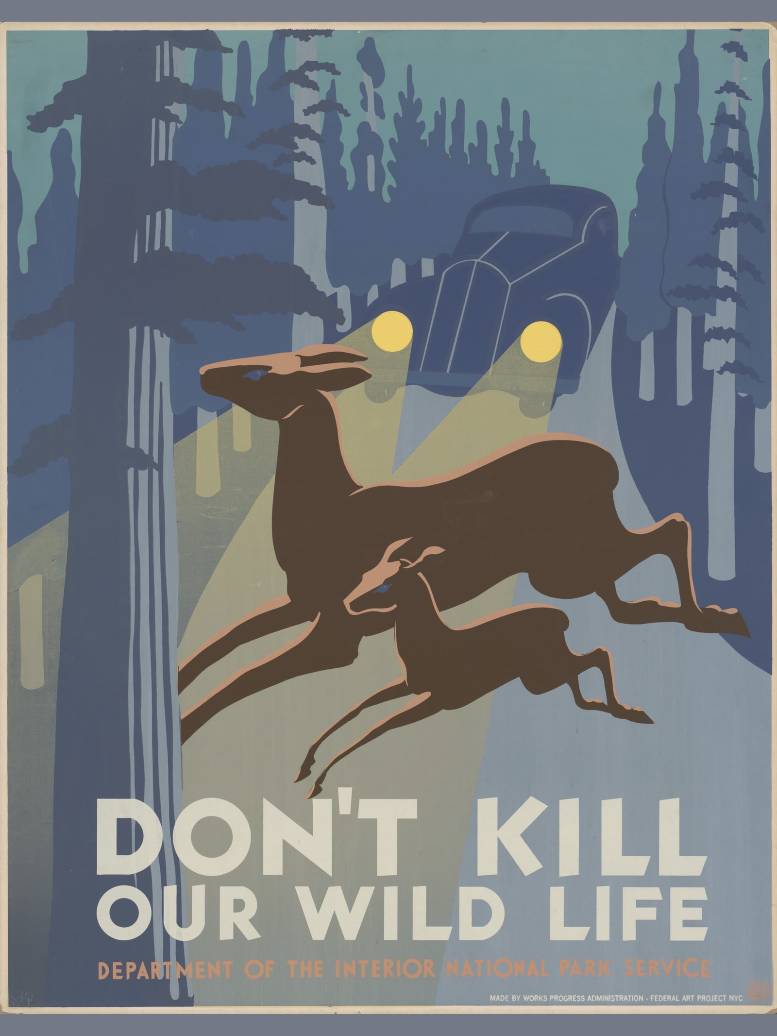 Don't Kill Our Wild Life