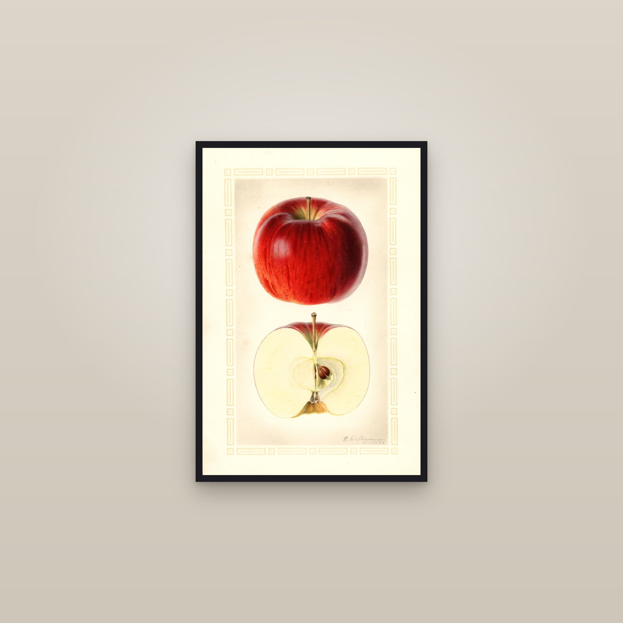 Drumhaller Apple — framed in a gallery setting