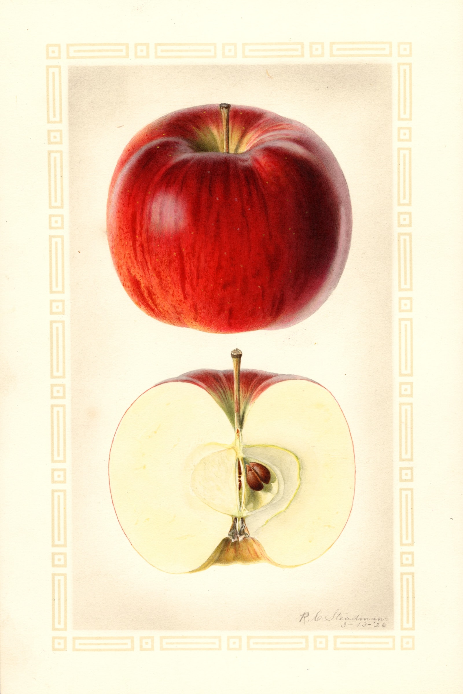 Drumhaller Apple