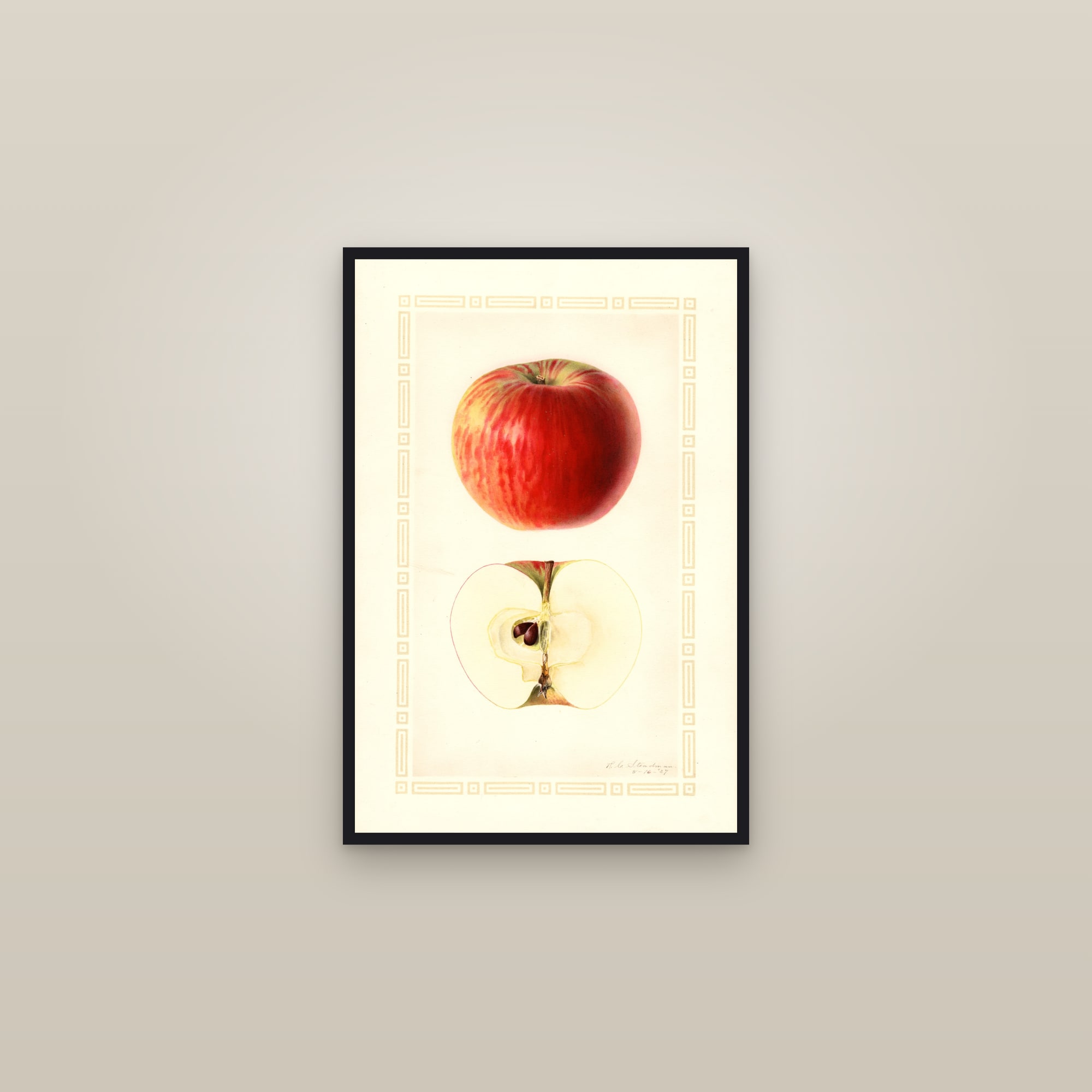Dudley Apple — framed in a gallery setting