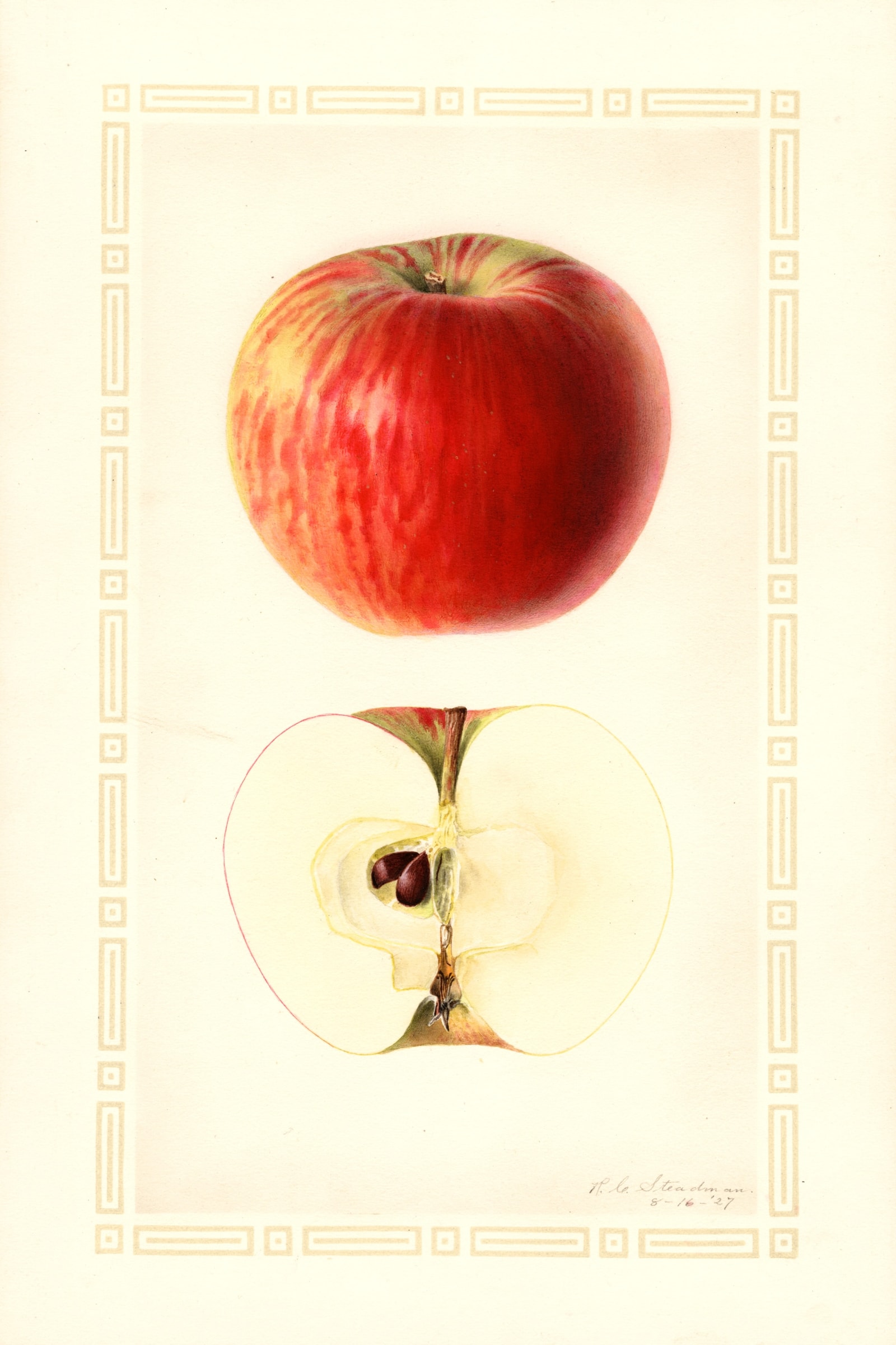 Dudley Apple