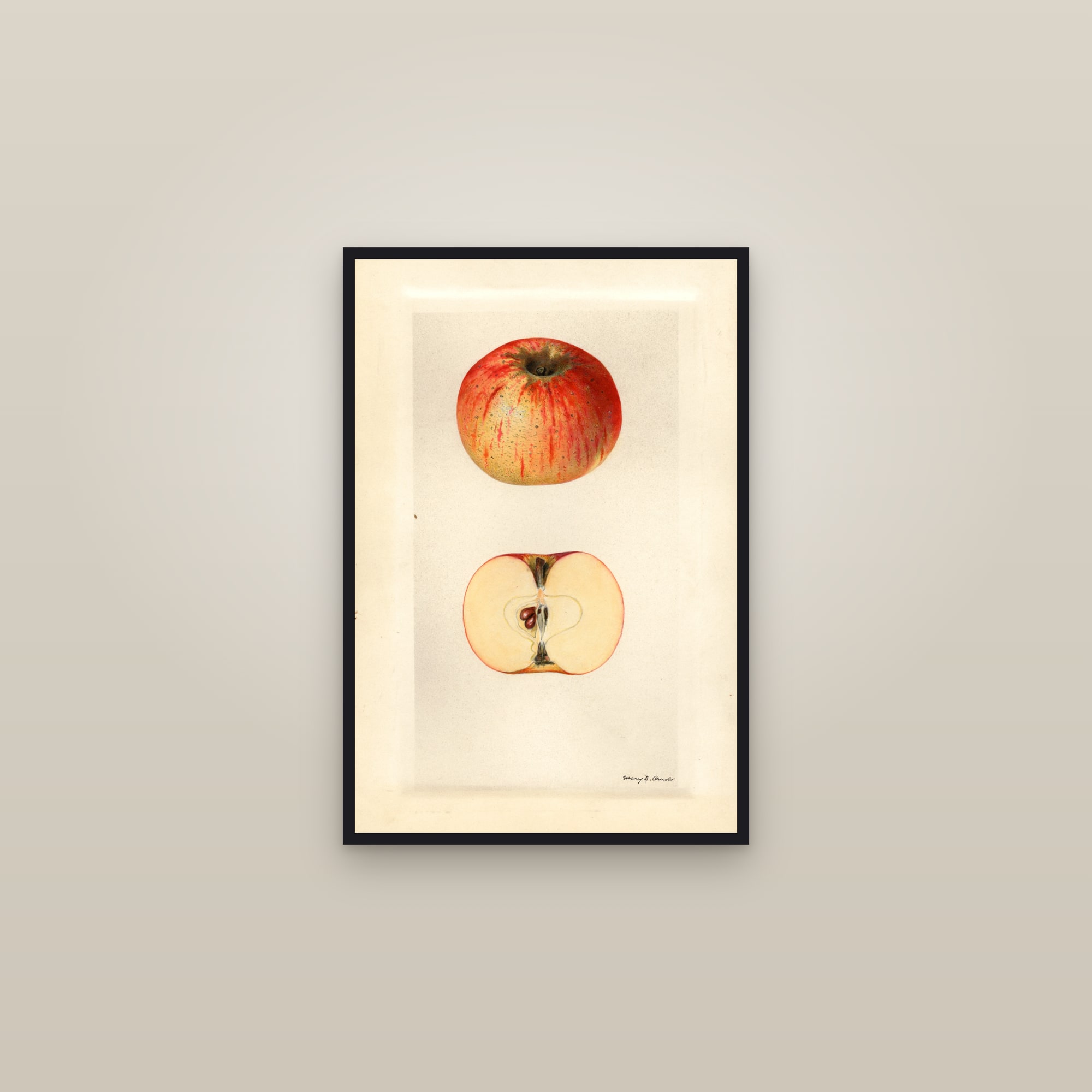 Dumbo Apple — framed in a gallery setting