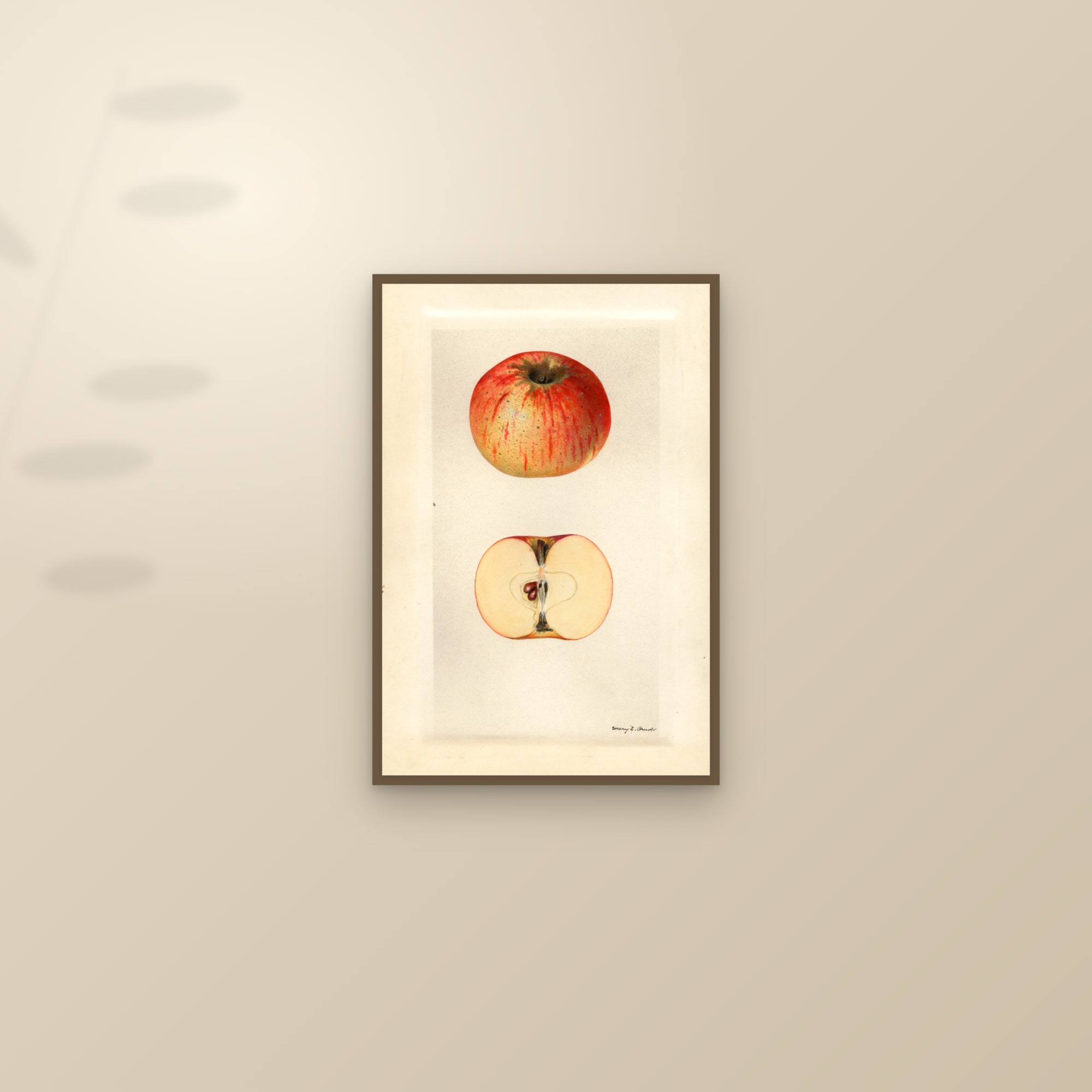 Dumbo Apple — framed and styled on a sunlit wall