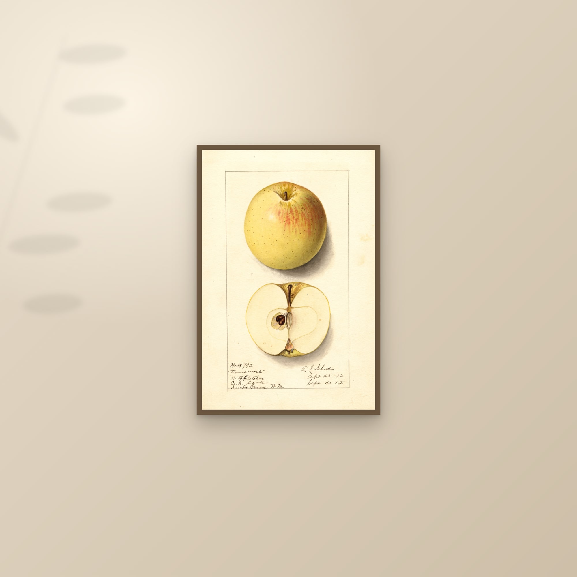 Dunsmore Apple — framed and styled on a sunlit wall