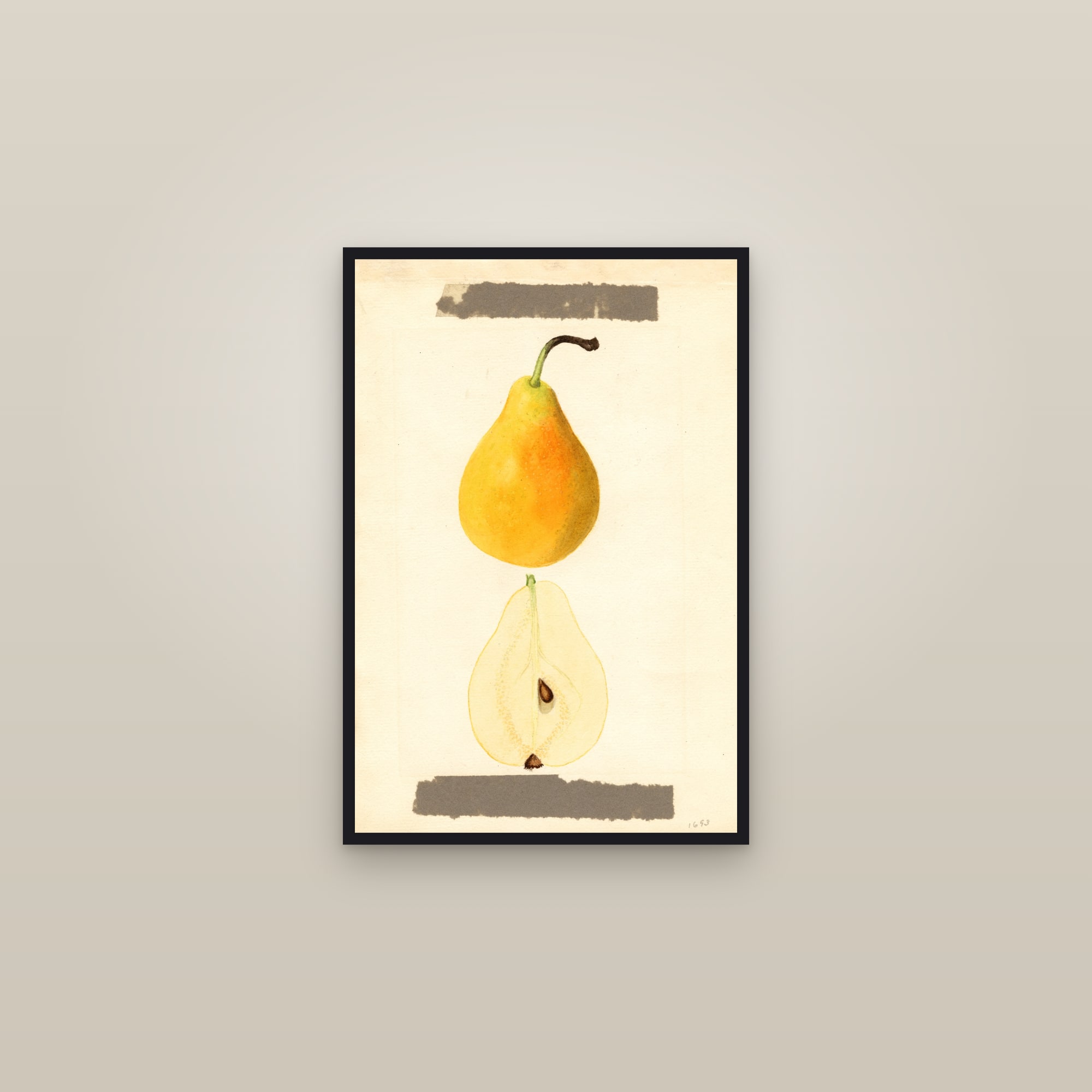 Early Bartlett Pear — framed in a gallery setting