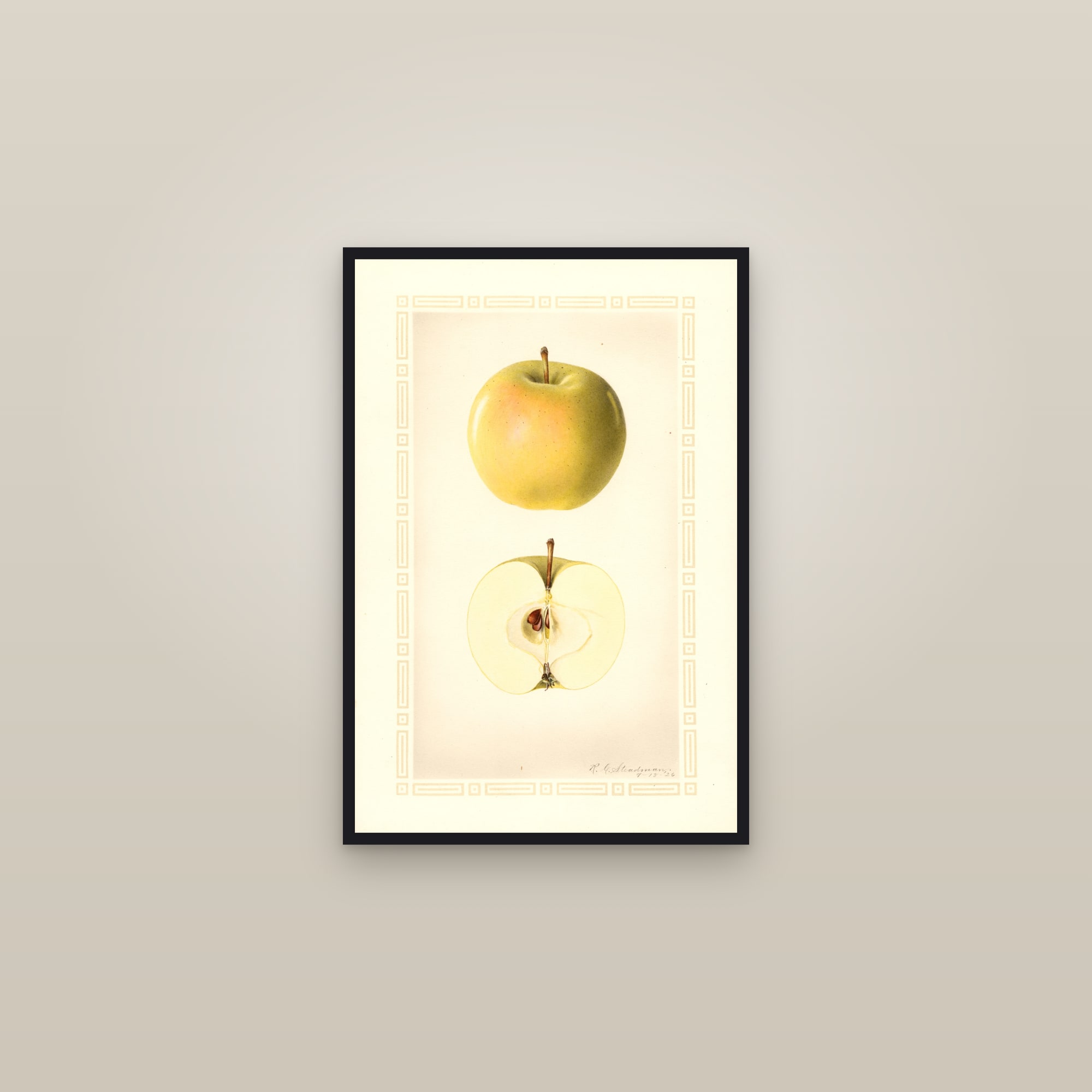 Early Cooper Apple — framed in a gallery setting
