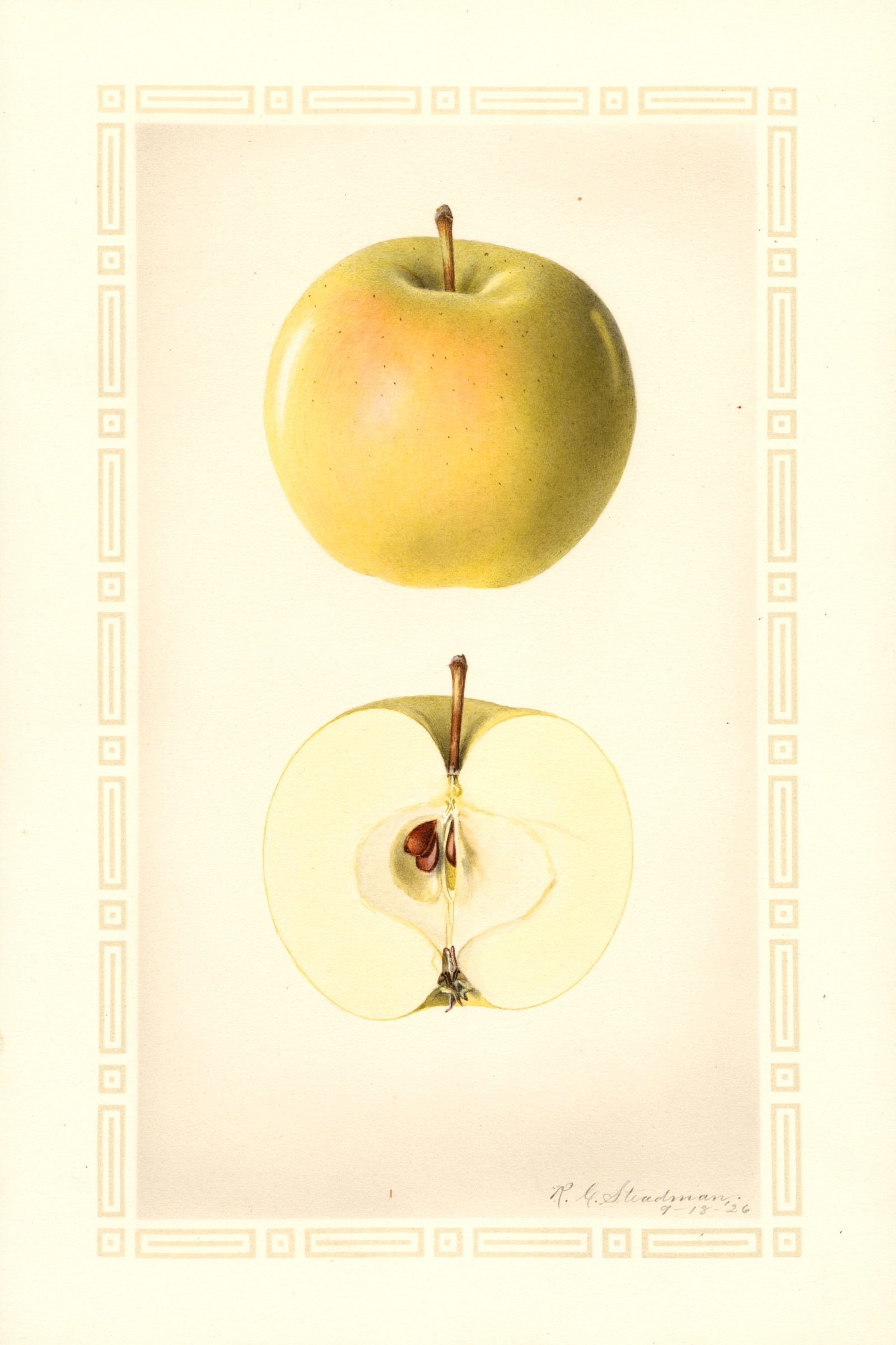 Early Cooper Apple