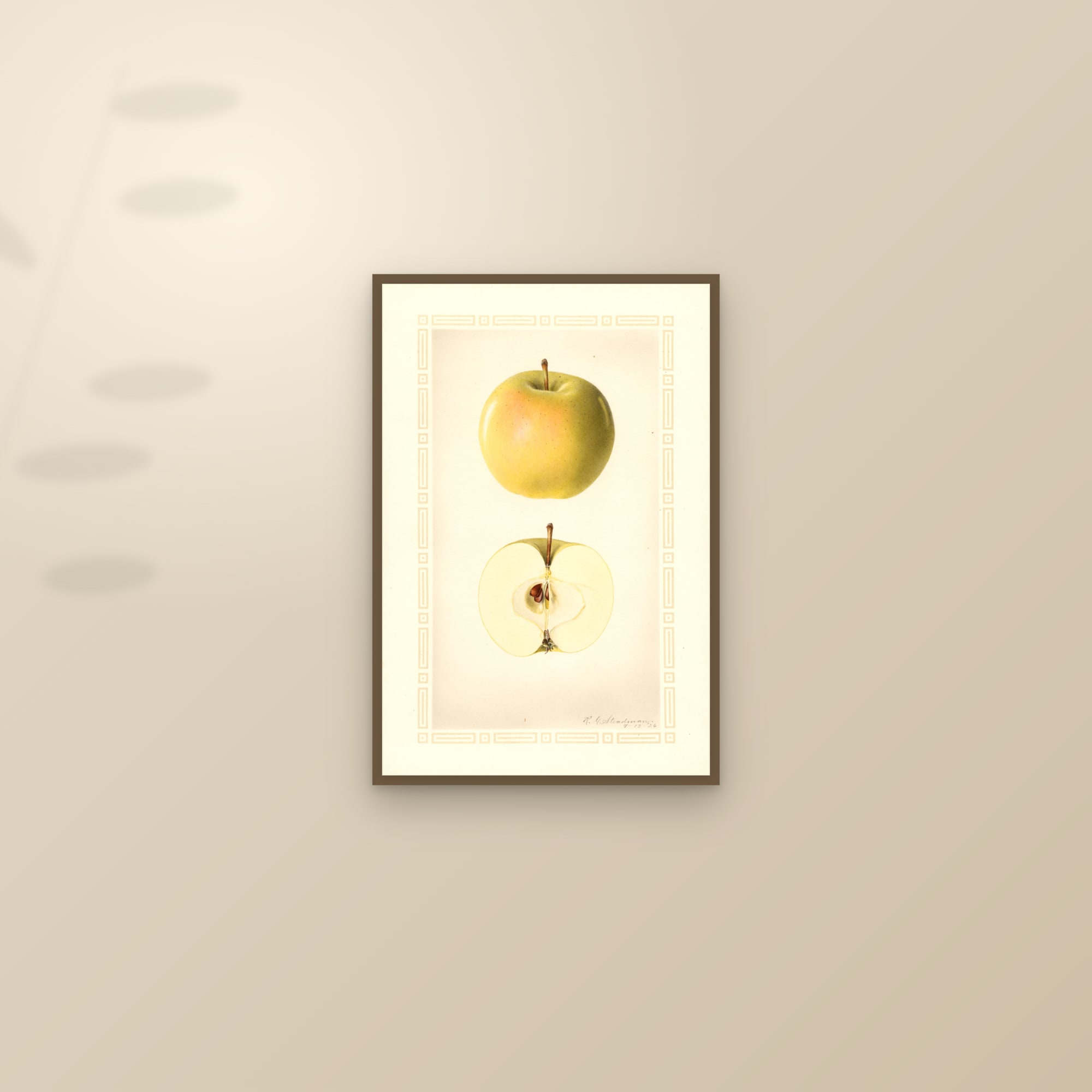 Early Cooper Apple — framed and styled on a sunlit wall