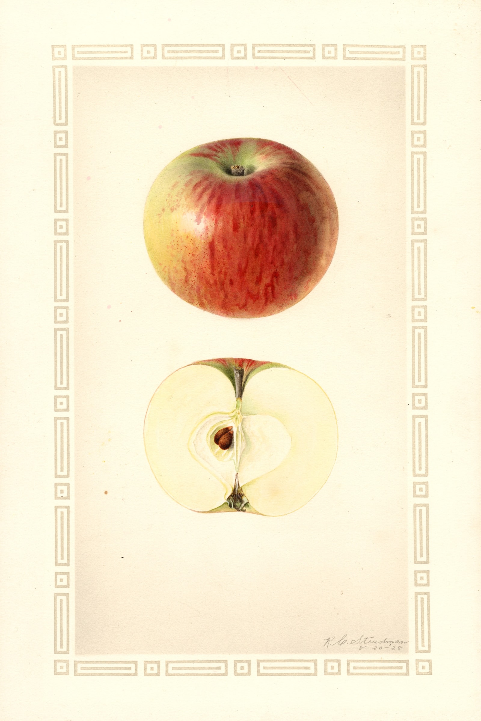Early Edward Apple