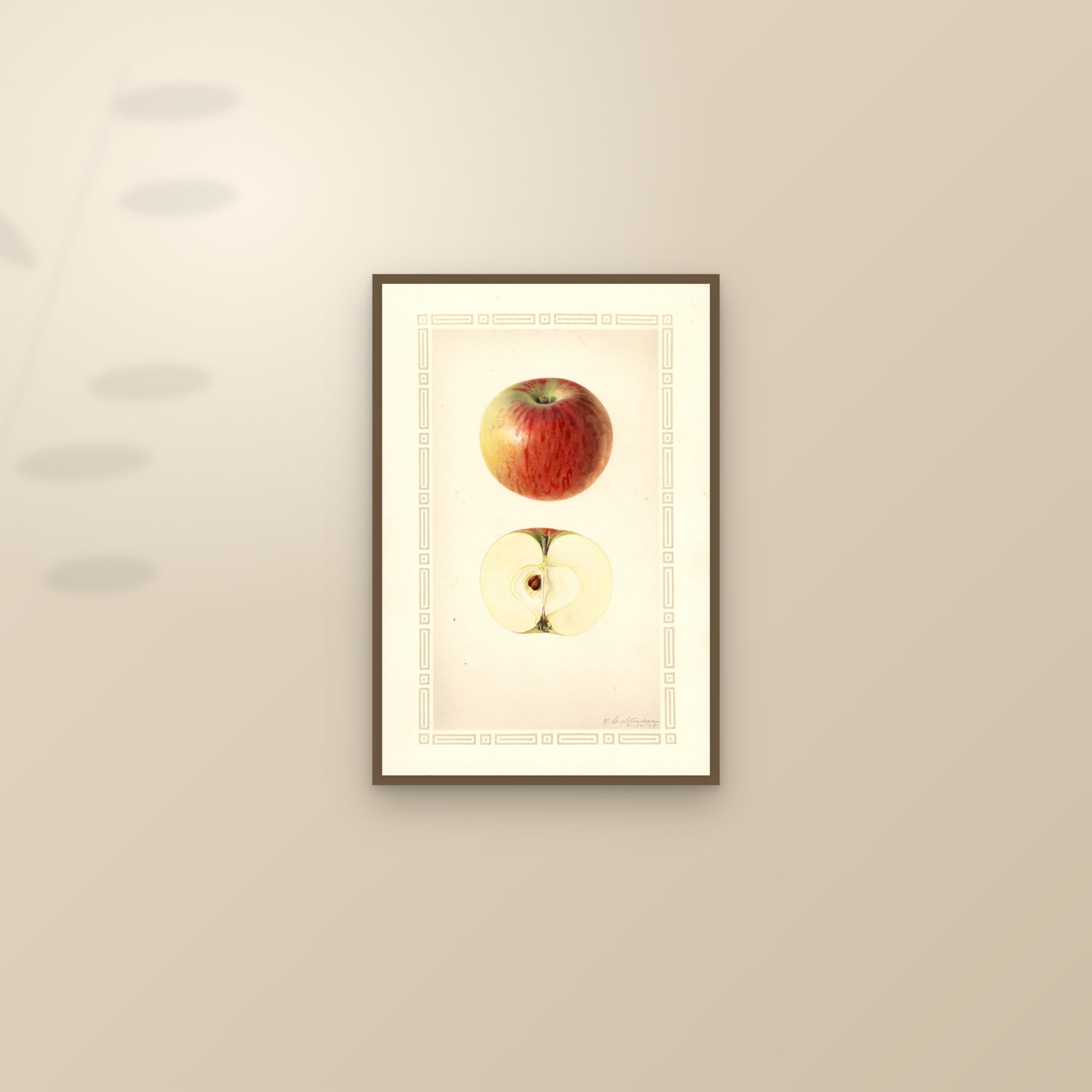 Early Edward Apple — framed and styled on a sunlit wall