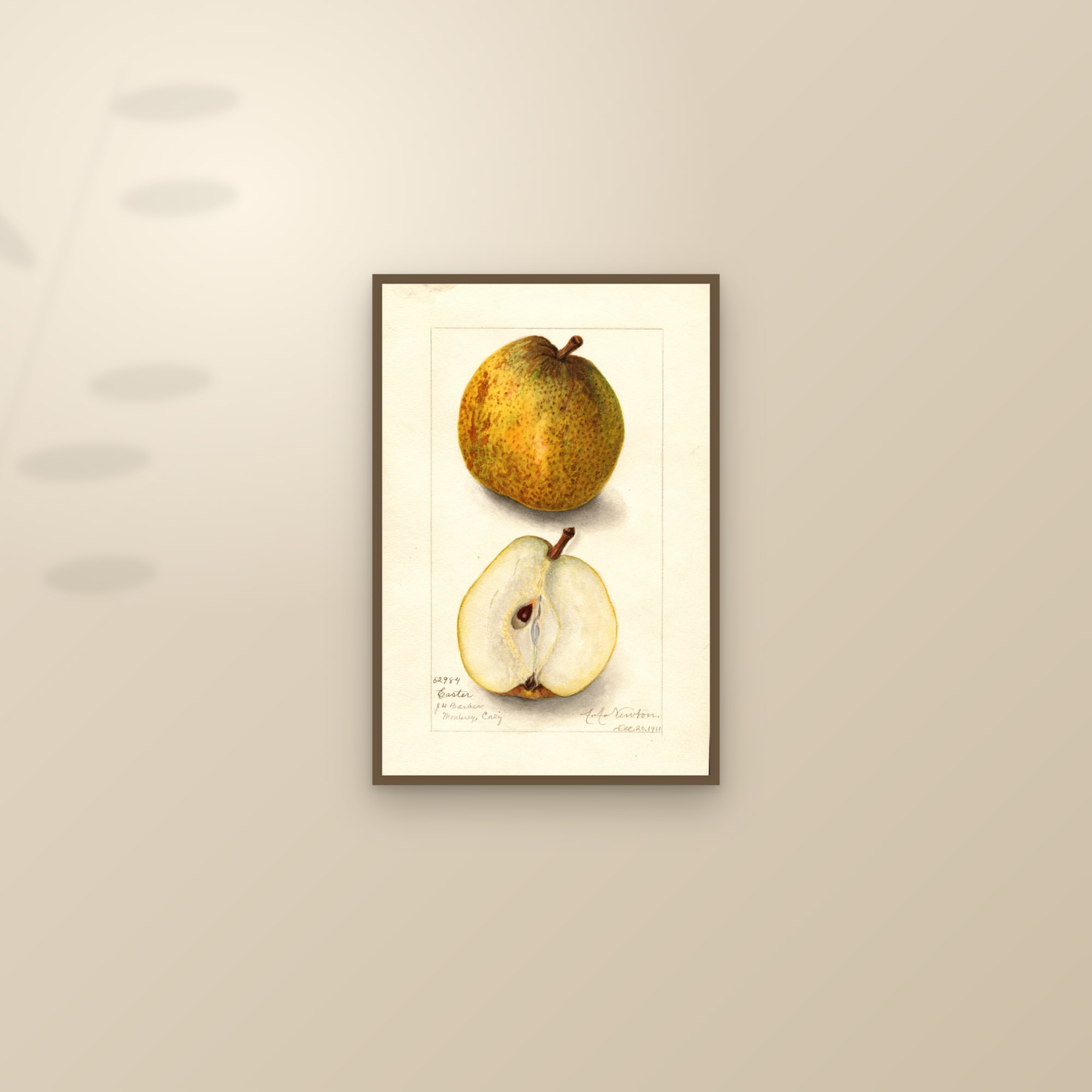 Easter Pear — framed and styled on a sunlit wall
