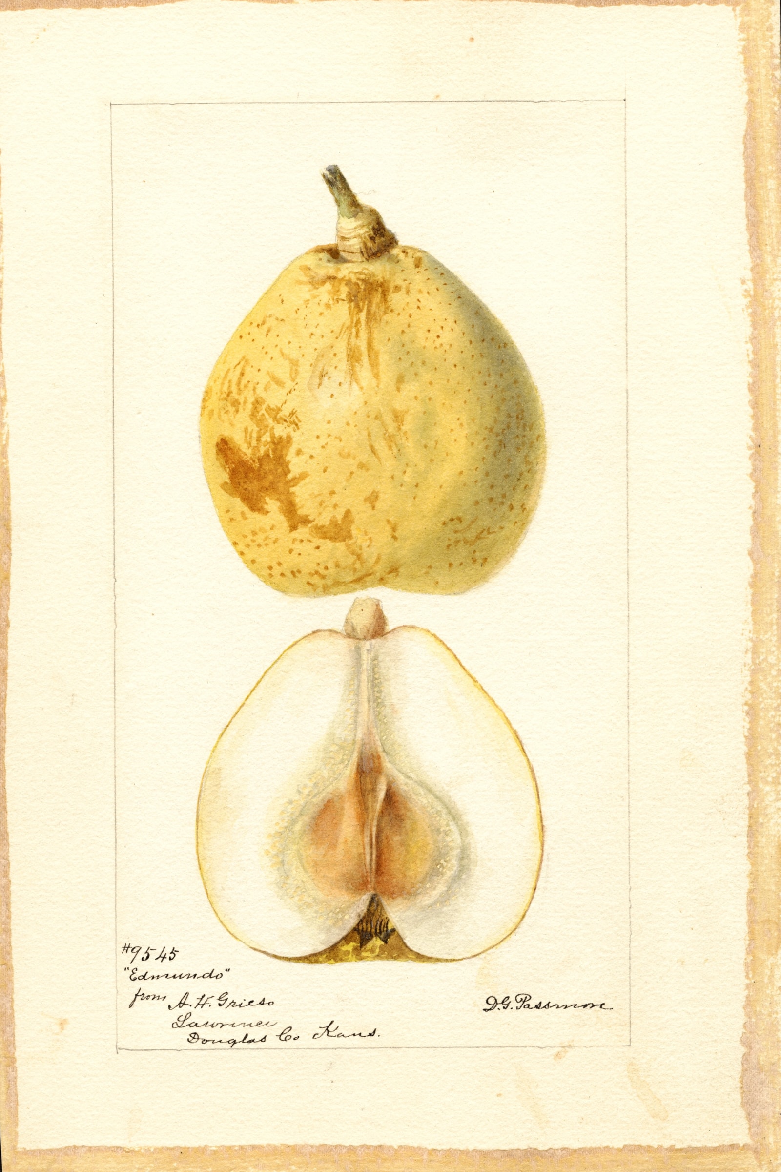 Edmundo Pear