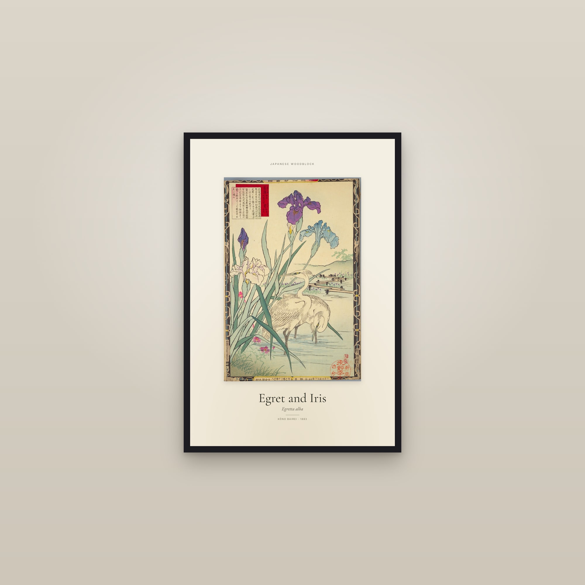 Egret and Iris — Specimen
