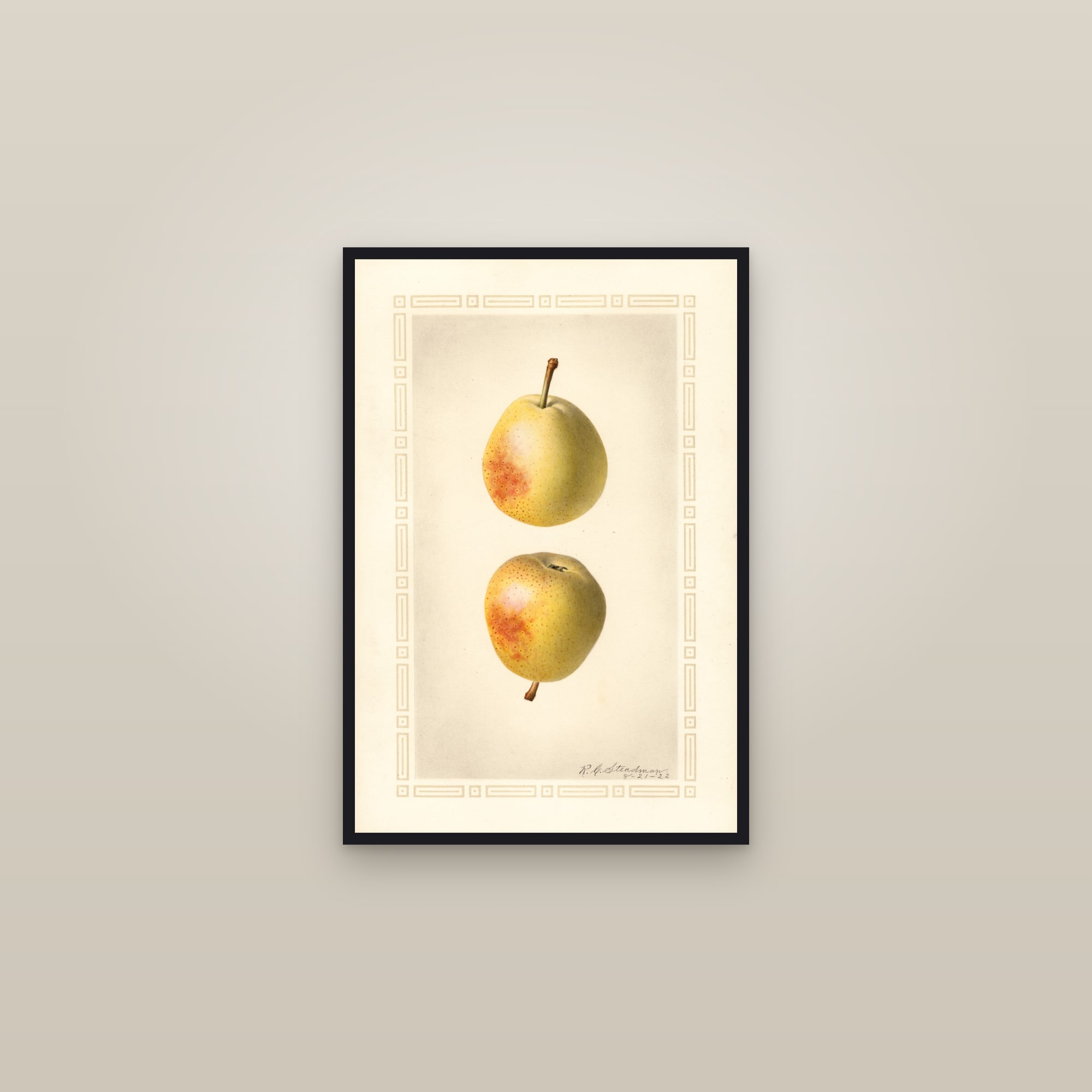 Elizabeth Pear — framed in a gallery setting