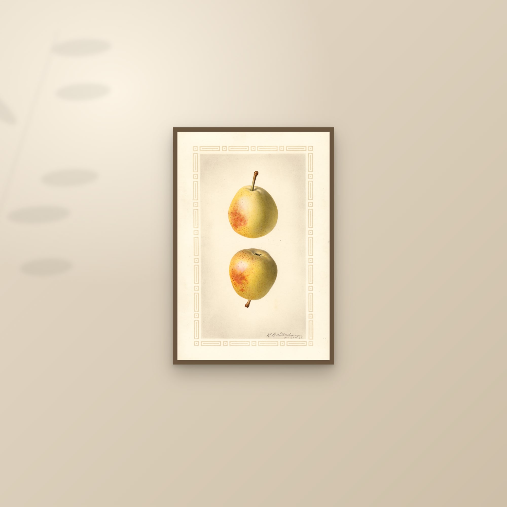 Elizabeth Pear — framed and styled on a sunlit wall
