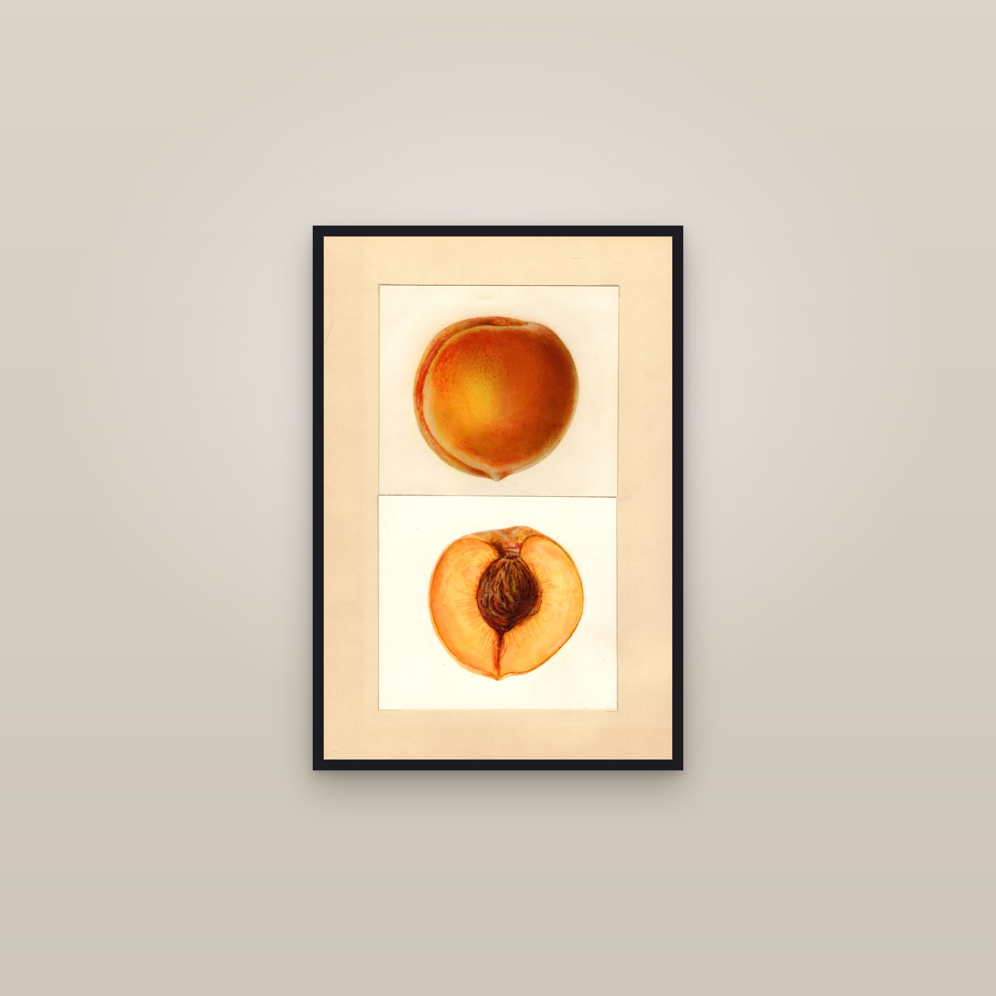 Ellis Peach — framed in a gallery setting