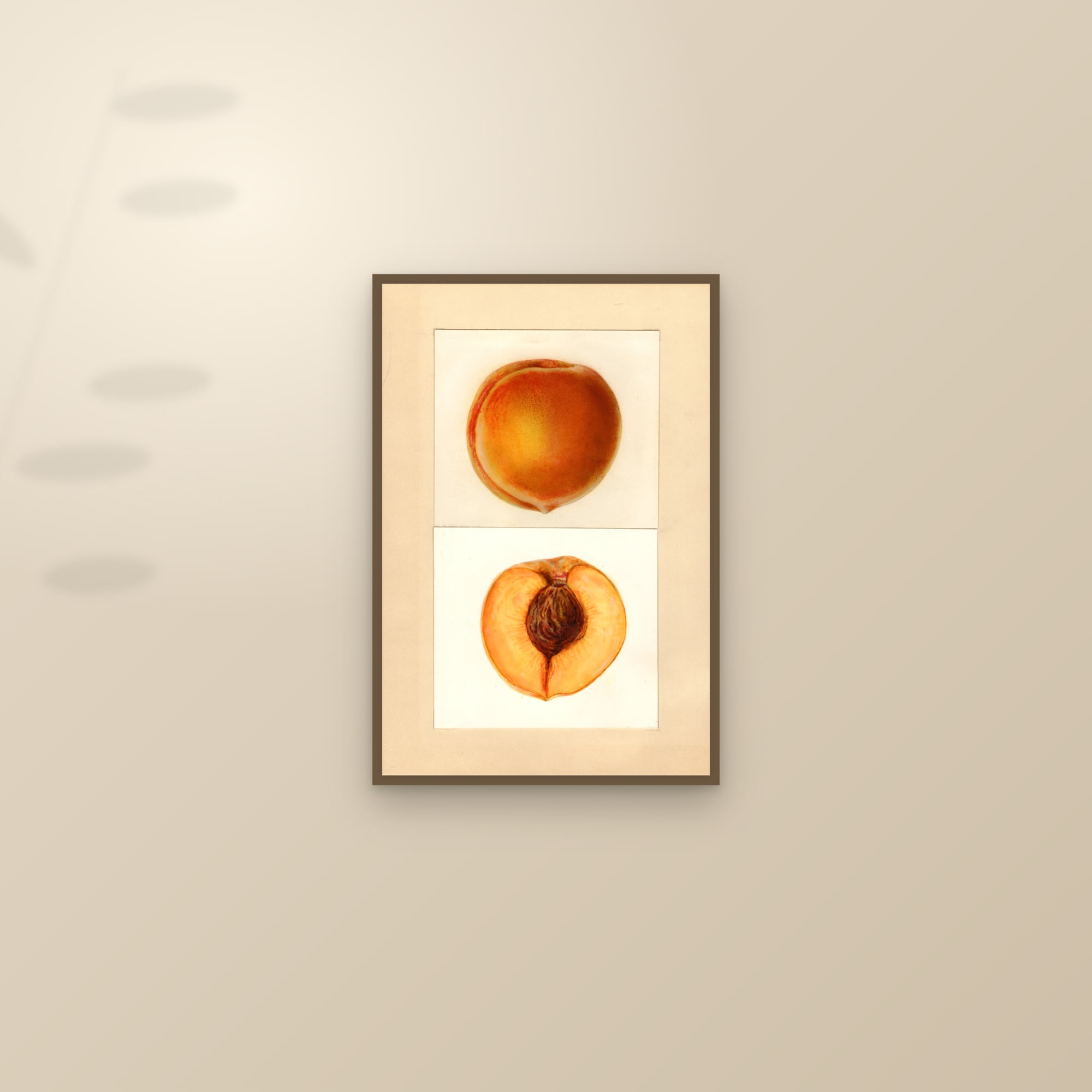 Ellis Peach — framed and styled on a sunlit wall