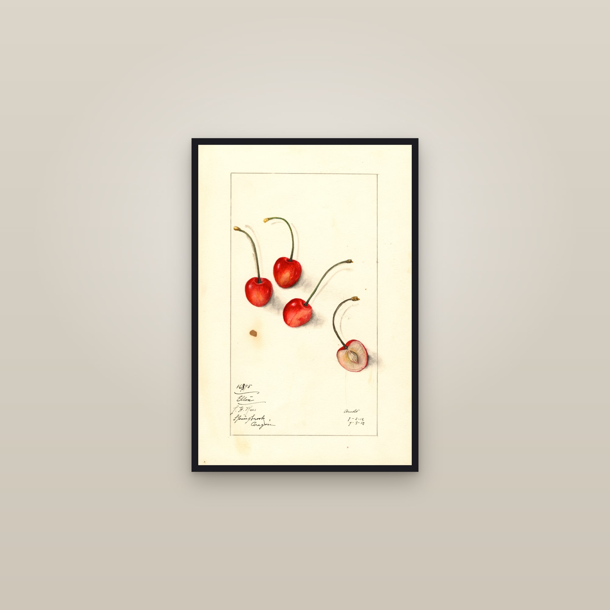 Elton Cherry — framed in a gallery setting