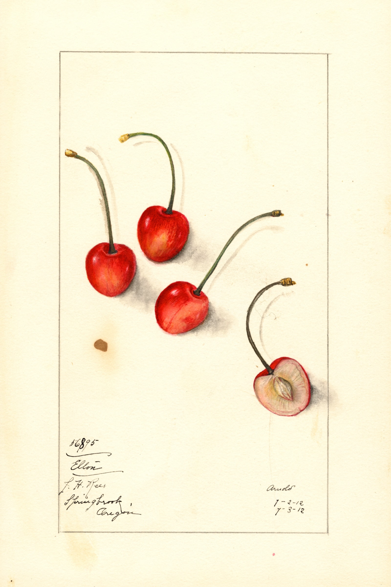 Elton Cherry